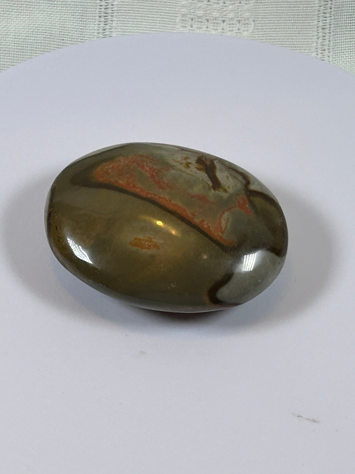 (#90) - POLYCHROME JASPER PALM STONE POLISHED - NEW
