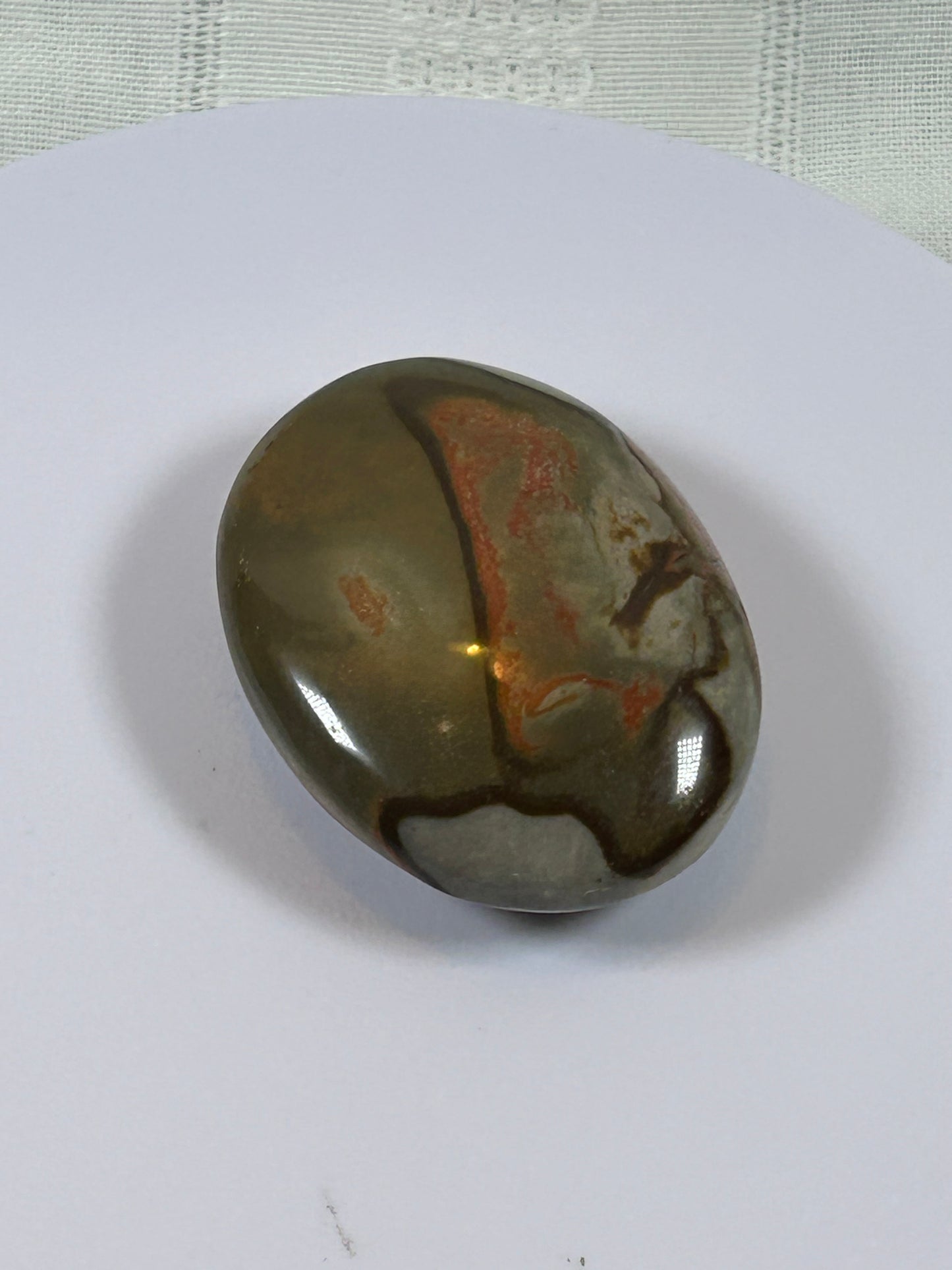 (#90) - POLYCHROME JASPER PALM STONE POLISHED - NEW