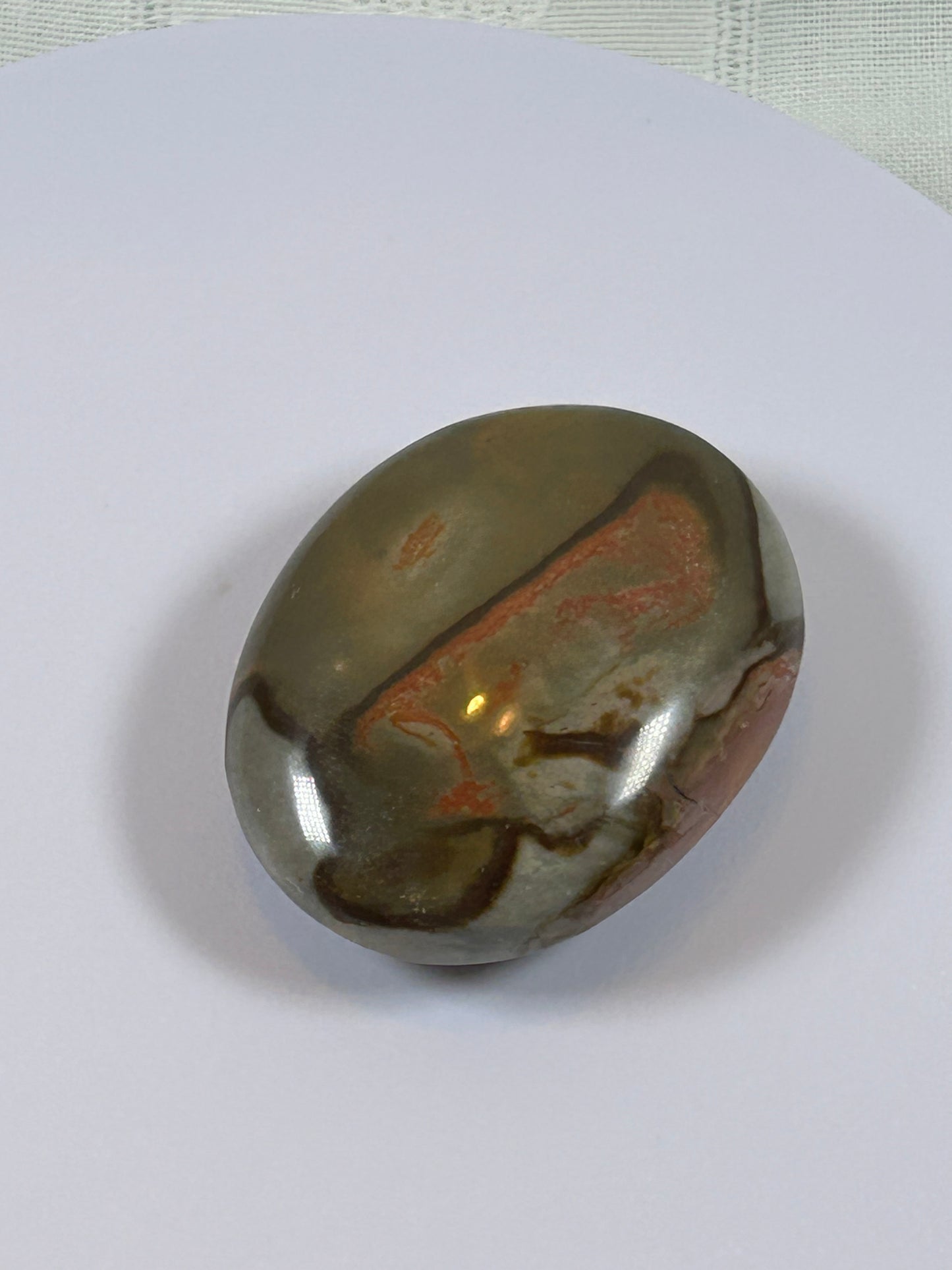 (#90) - POLYCHROME JASPER PALM STONE POLISHED - NEW
