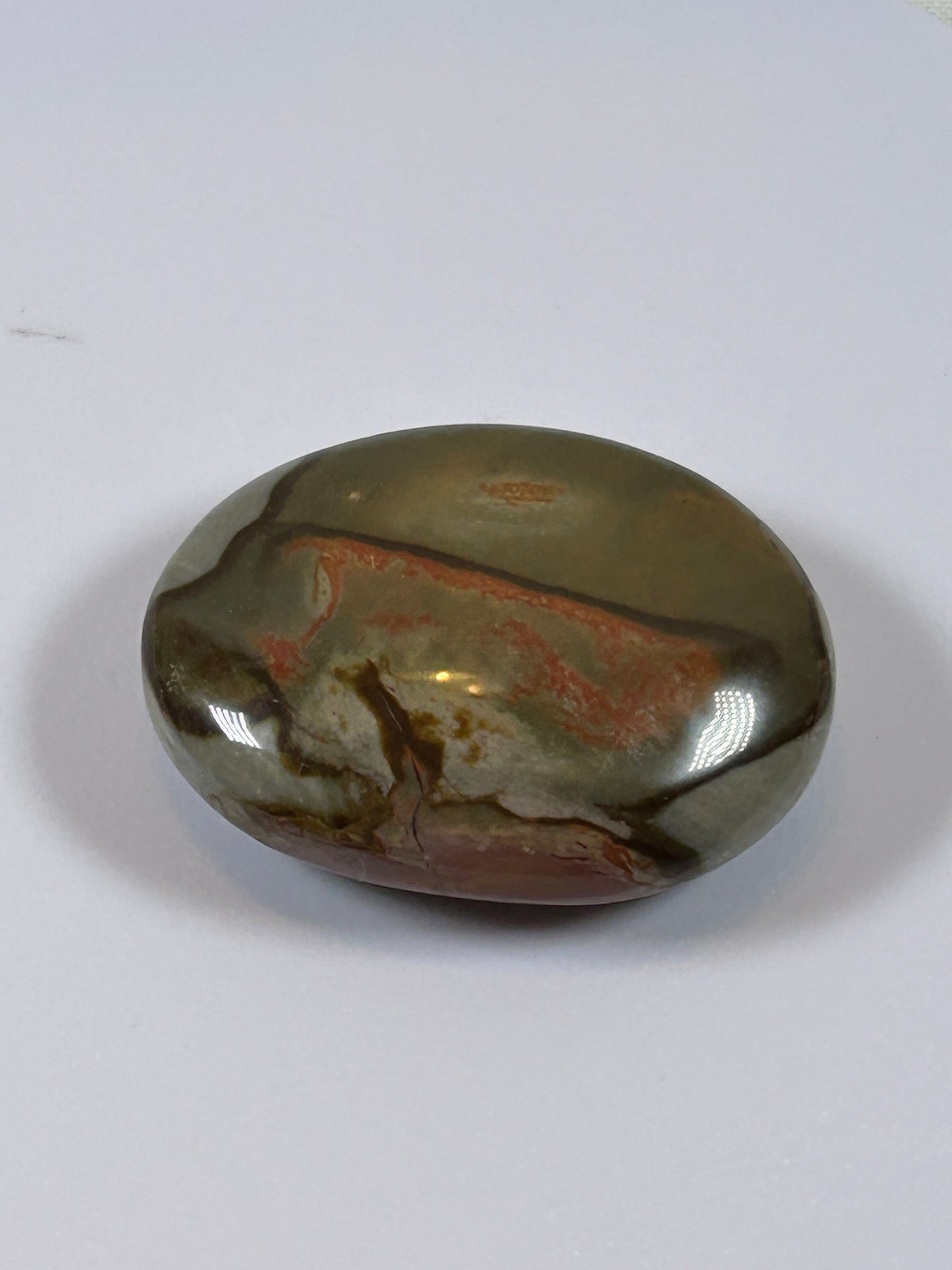 (#90) - POLYCHROME JASPER PALM STONE POLISHED - NEW