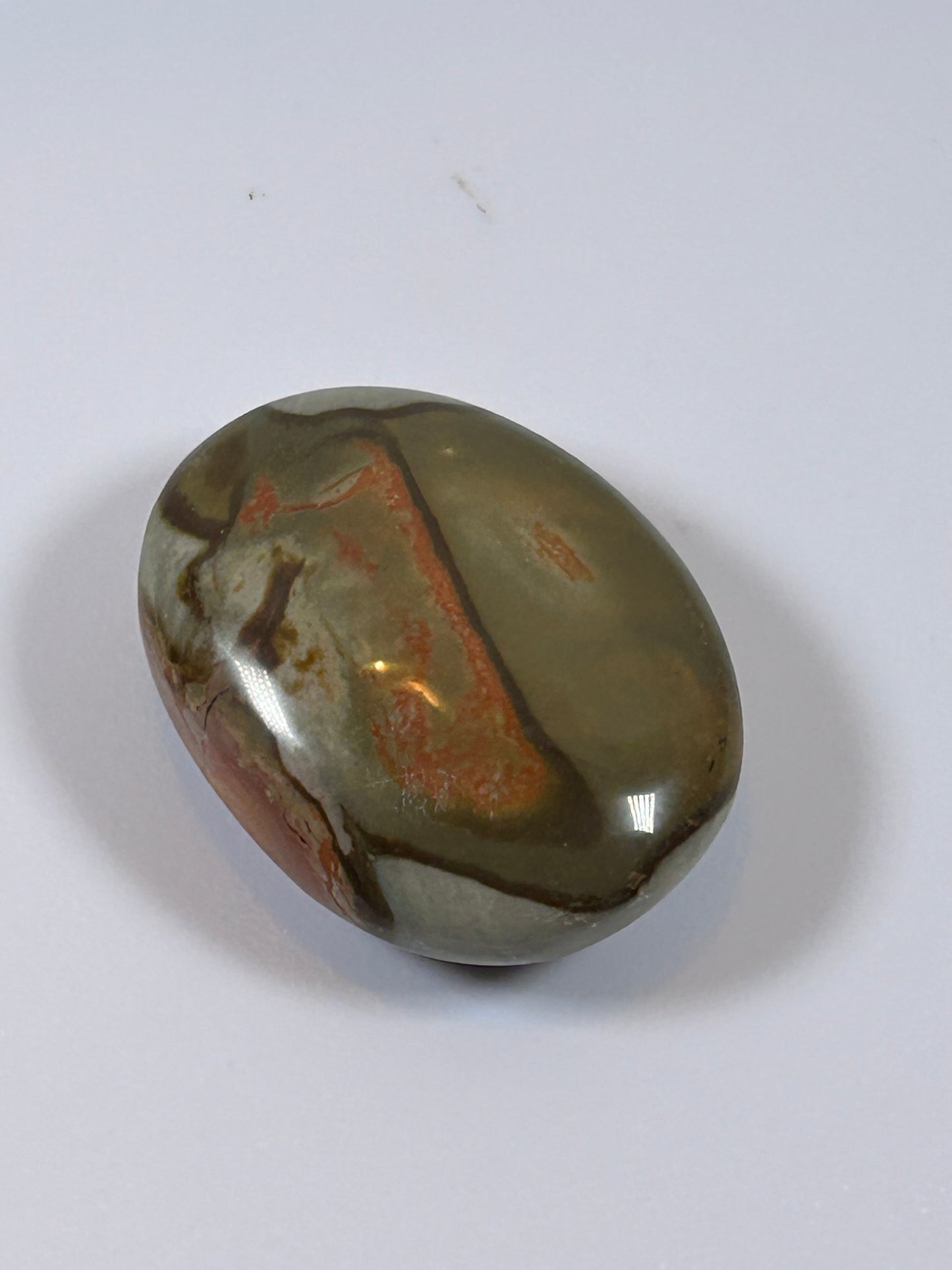 (#90) - POLYCHROME JASPER PALM STONE POLISHED - NEW