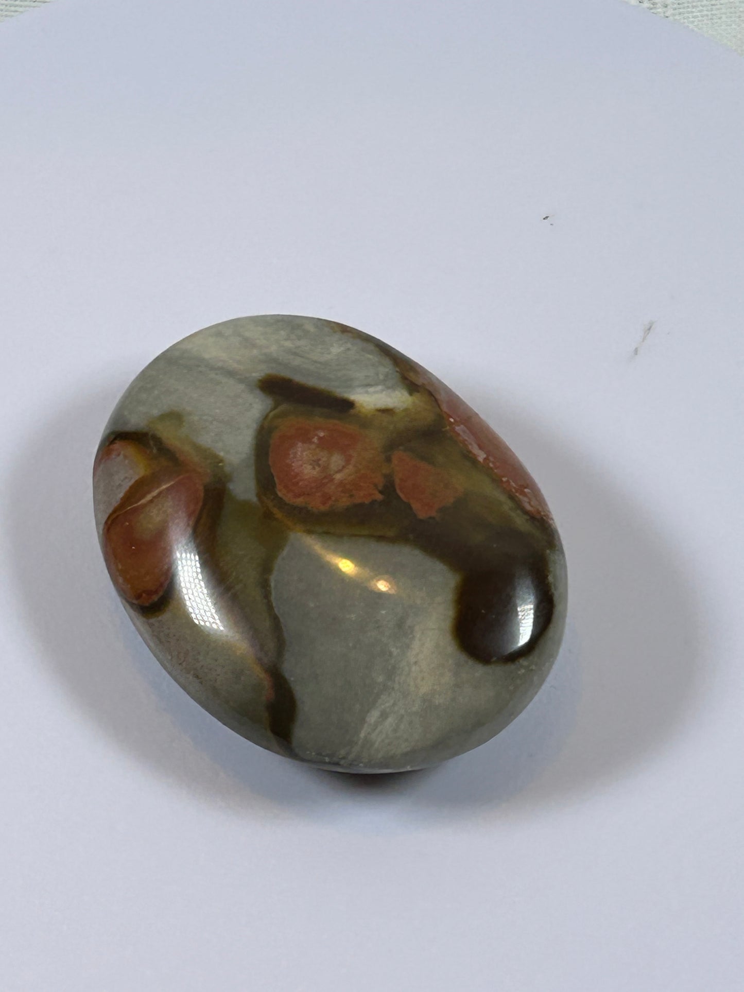 (#90) - POLYCHROME JASPER PALM STONE POLISHED - NEW