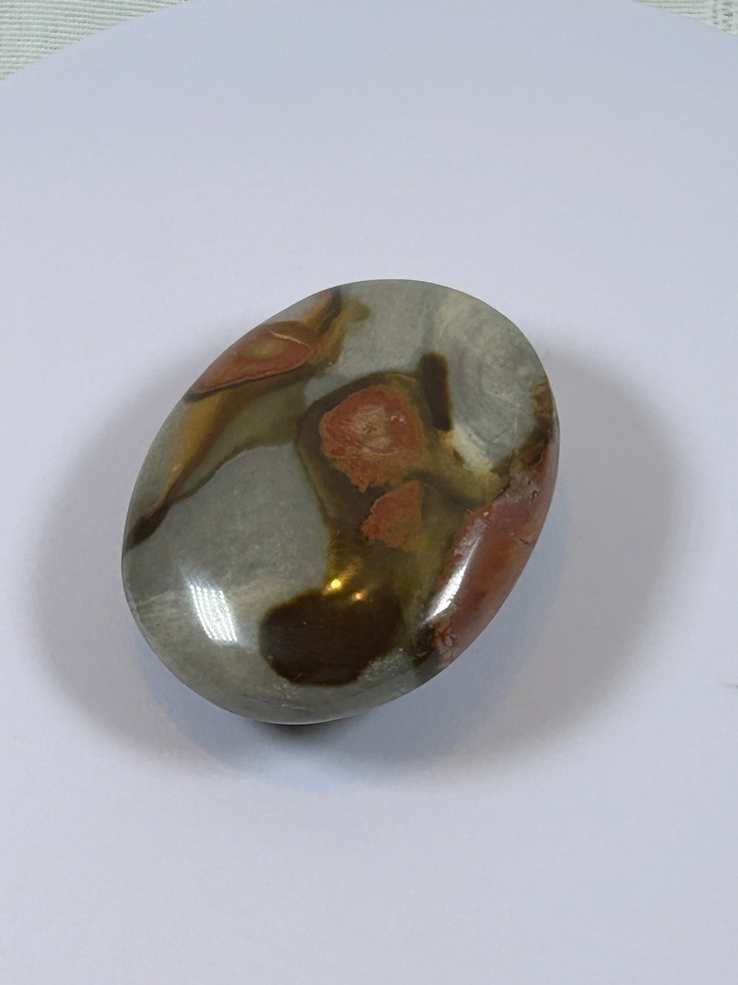 (#90) - POLYCHROME JASPER PALM STONE POLISHED - NEW
