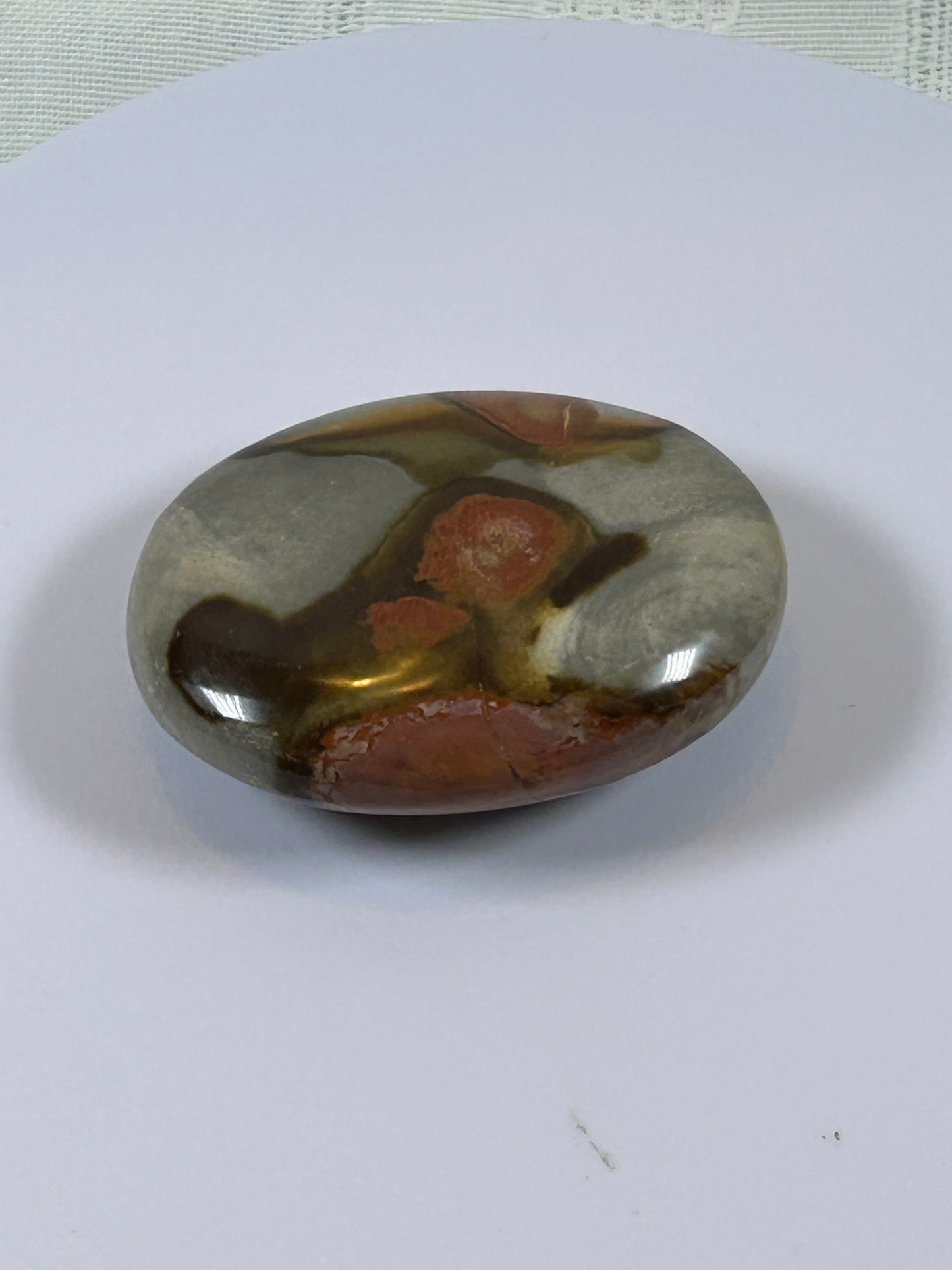 (#90) - POLYCHROME JASPER PALM STONE POLISHED - NEW