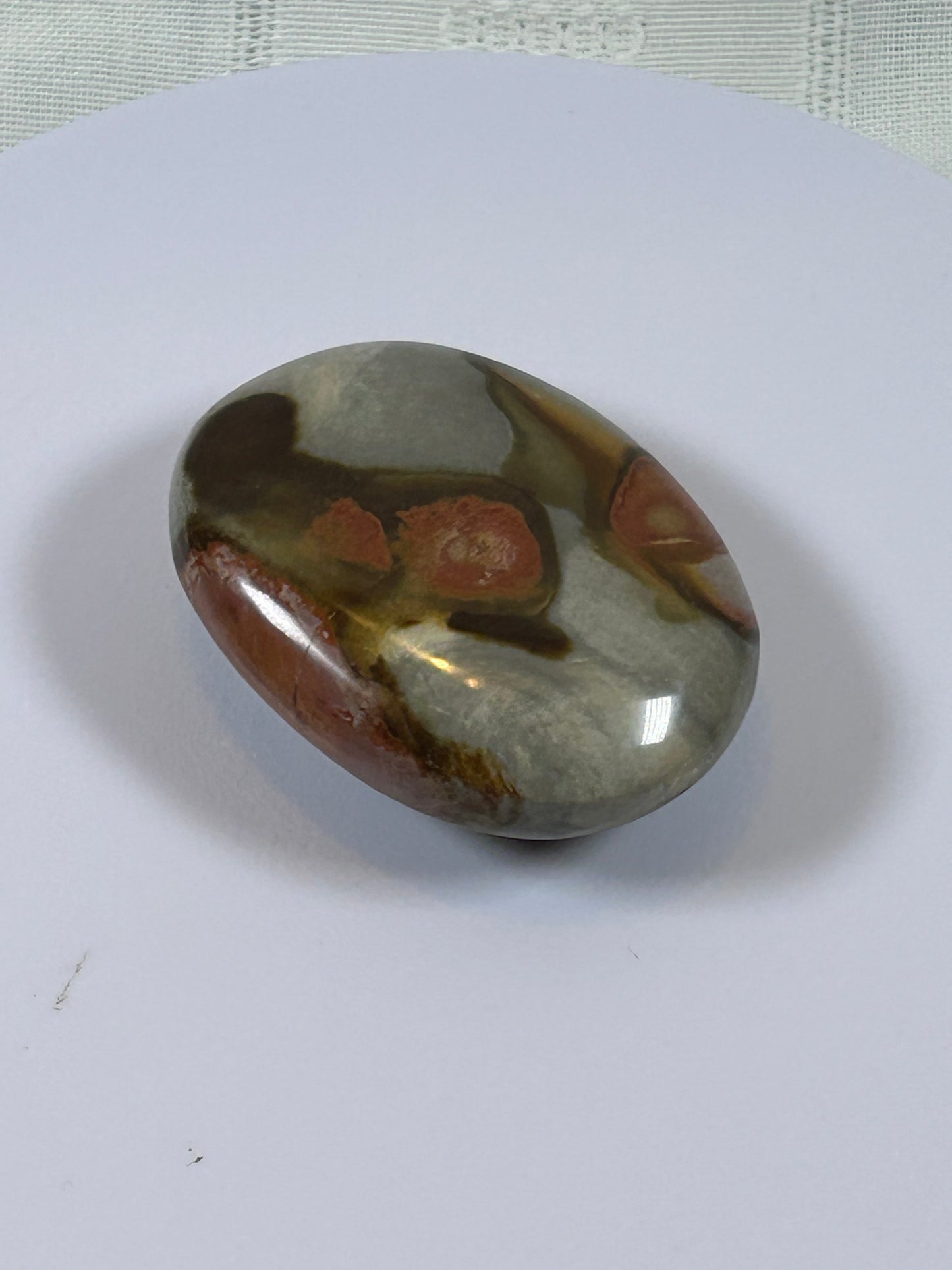 (#90) - POLYCHROME JASPER PALM STONE POLISHED - NEW