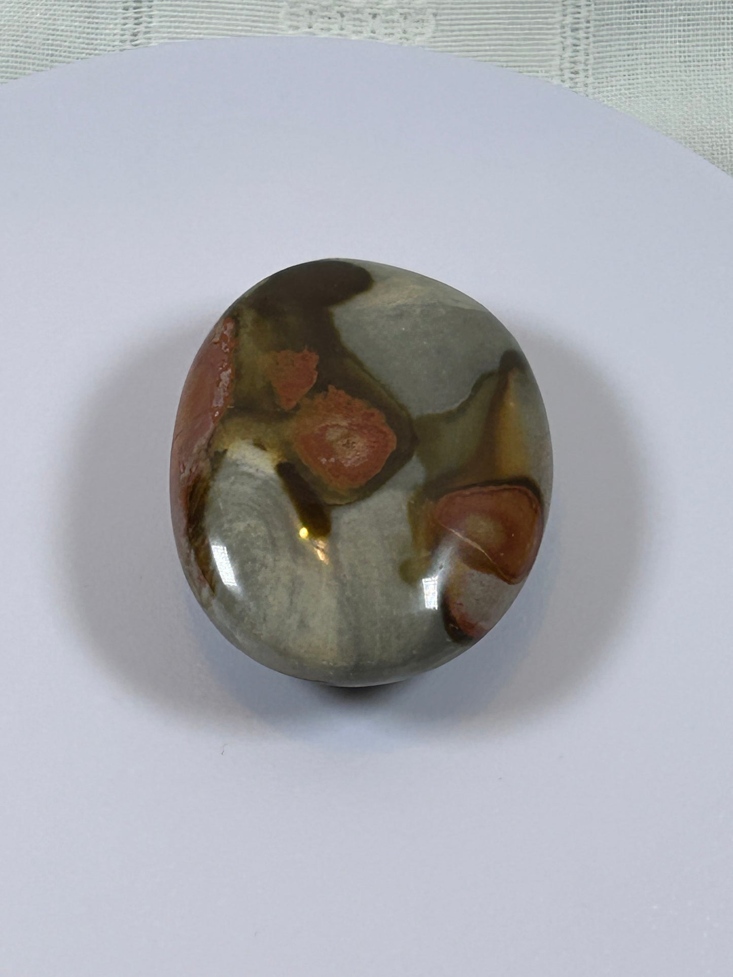(#90) - POLYCHROME JASPER PALM STONE POLISHED - NEW