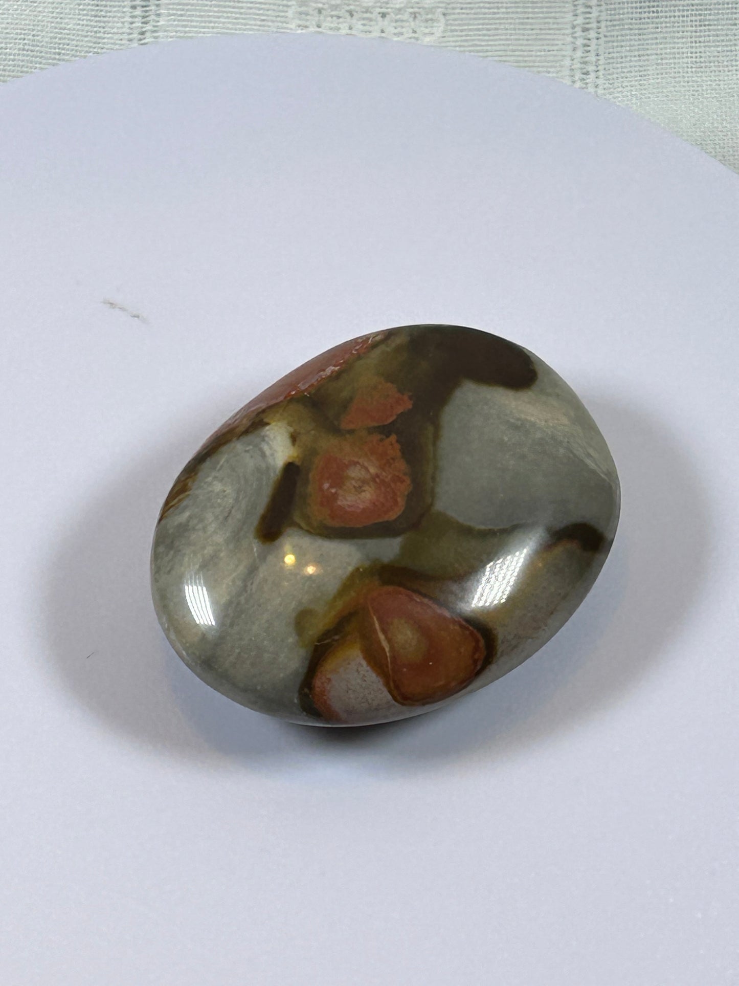 (#90) - POLYCHROME JASPER PALM STONE POLISHED - NEW