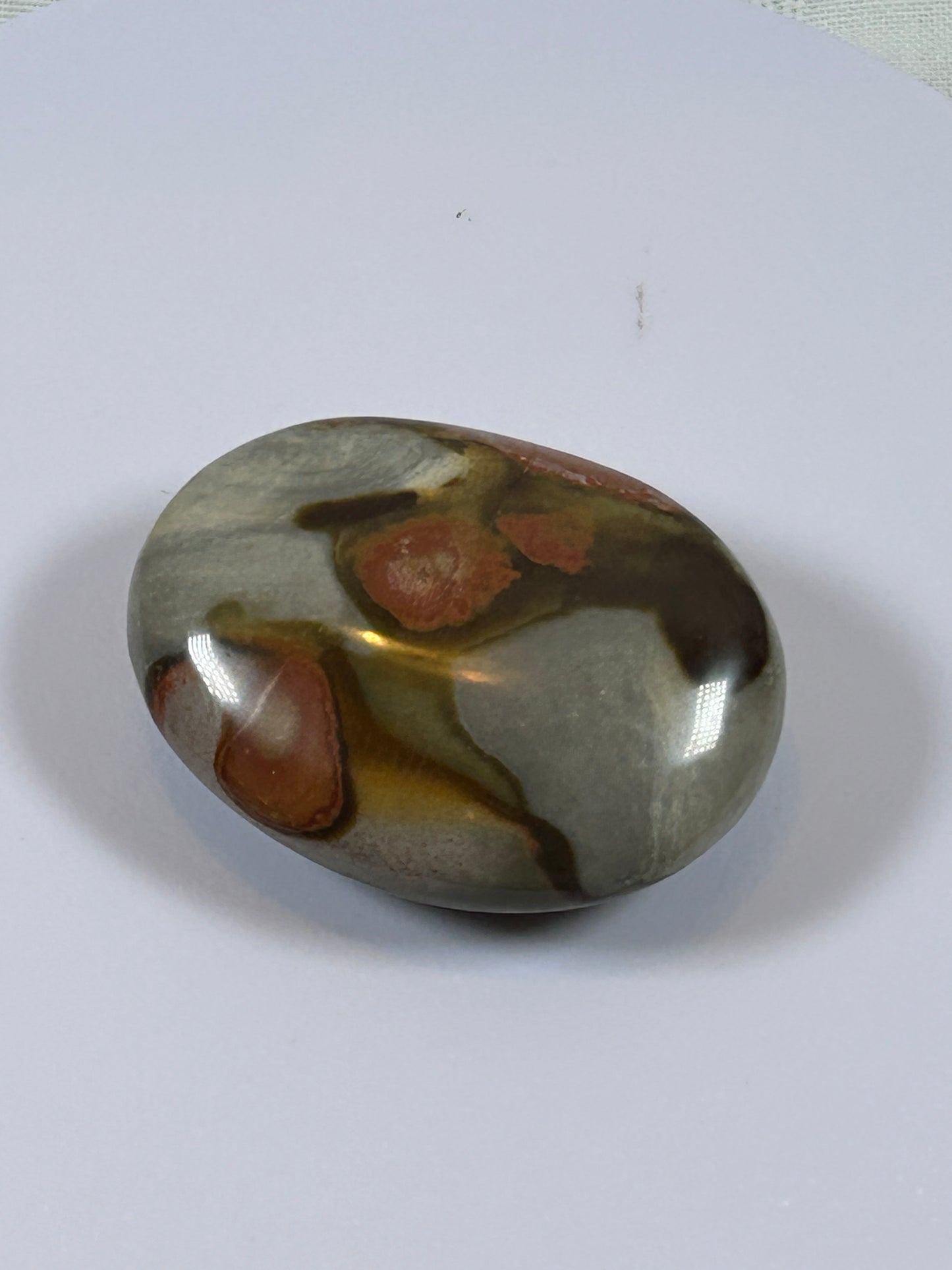 (#90) - POLYCHROME JASPER PALM STONE POLISHED - NEW