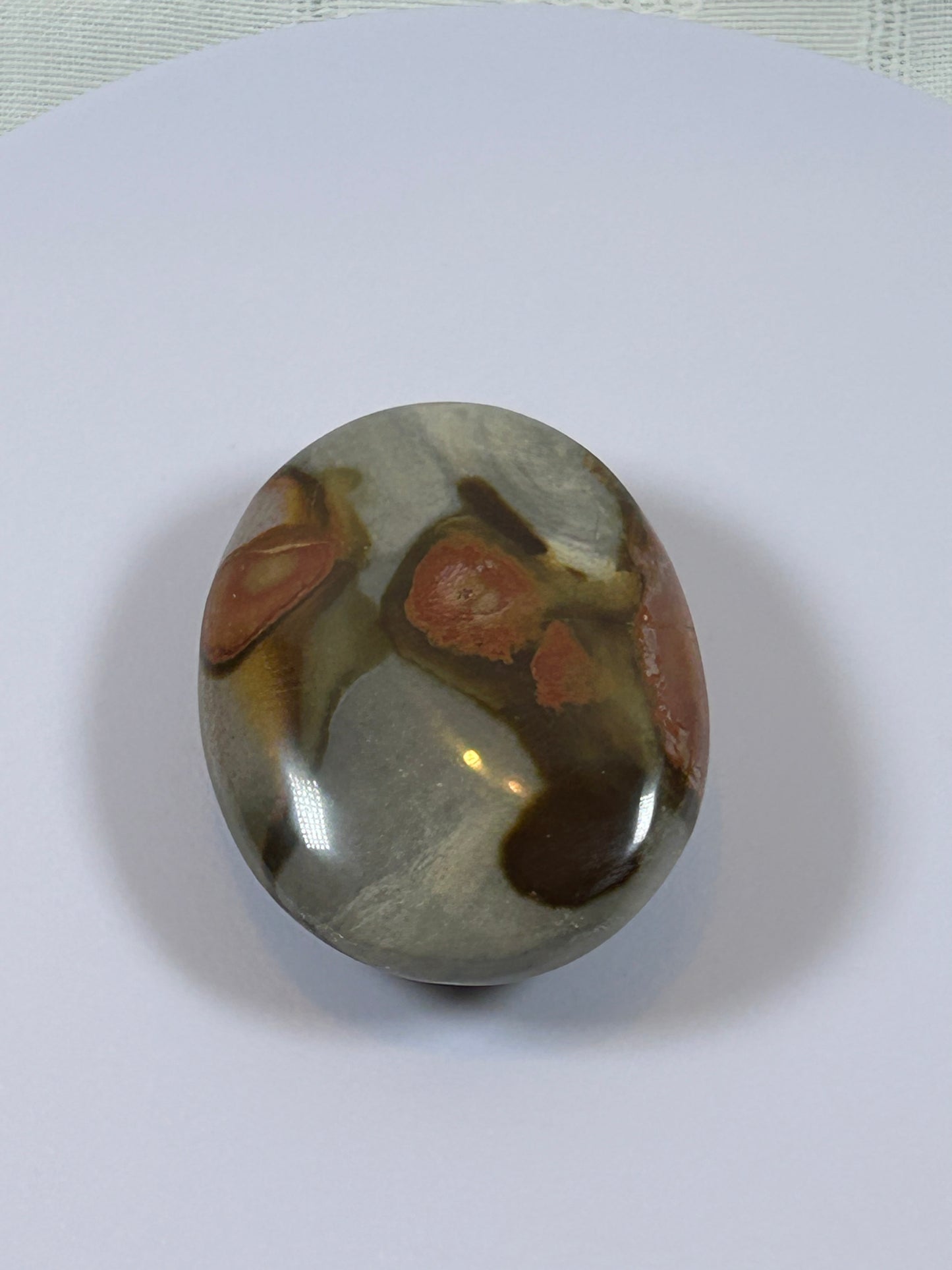 (#90) - POLYCHROME JASPER PALM STONE POLISHED - NEW