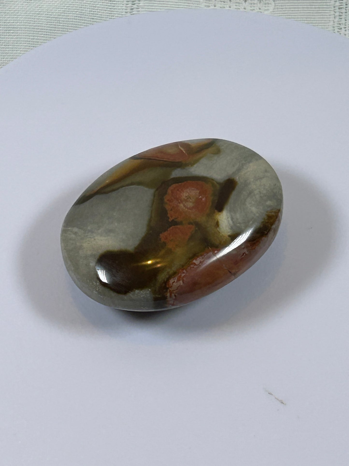 (#90) - POLYCHROME JASPER PALM STONE POLISHED - NEW