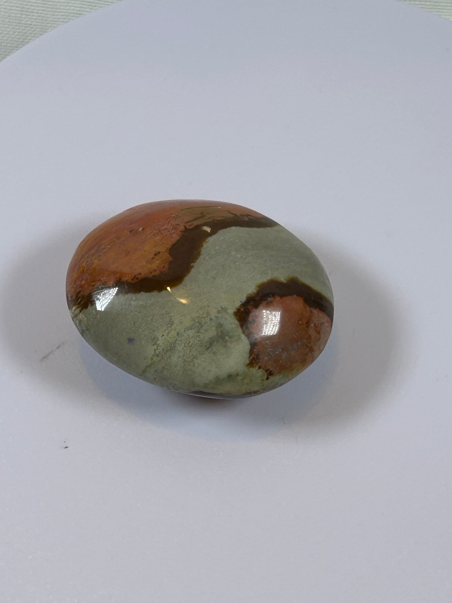 (#91) - POLYCHROME JASPER PALM STONE POLISHED - NEW