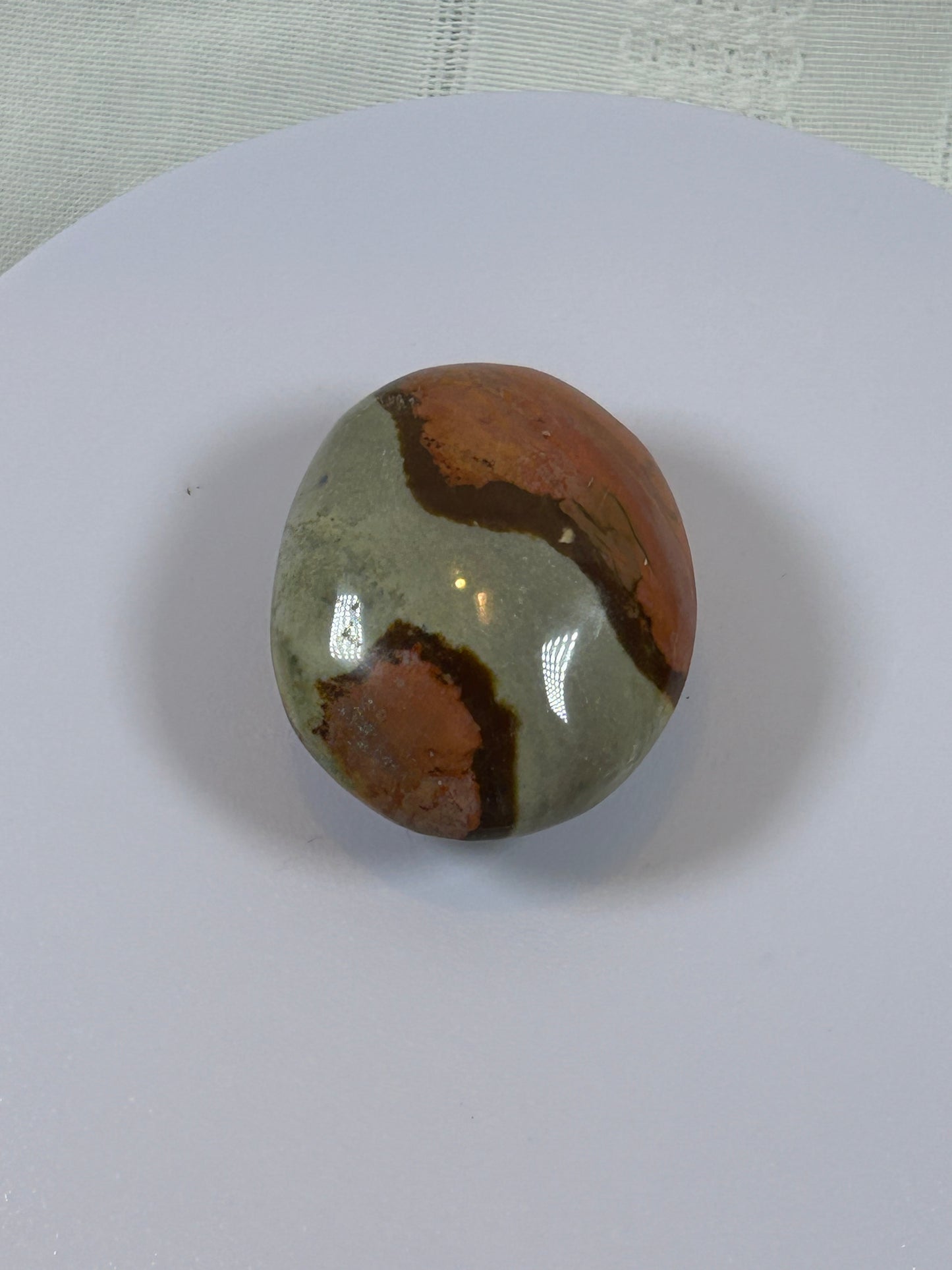 (#91) - POLYCHROME JASPER PALM STONE POLISHED - NEW