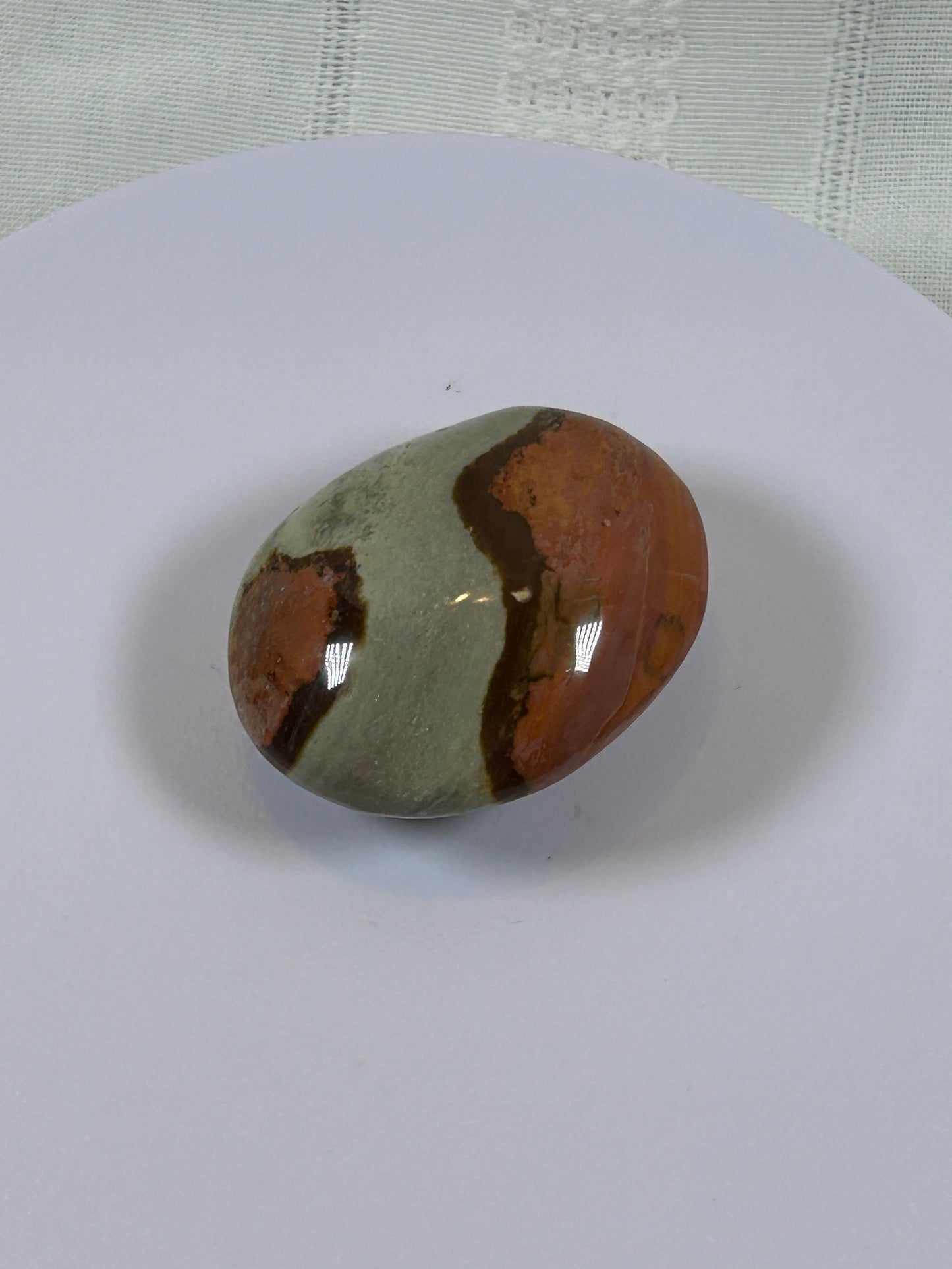 (#91) - POLYCHROME JASPER PALM STONE POLISHED - NEW