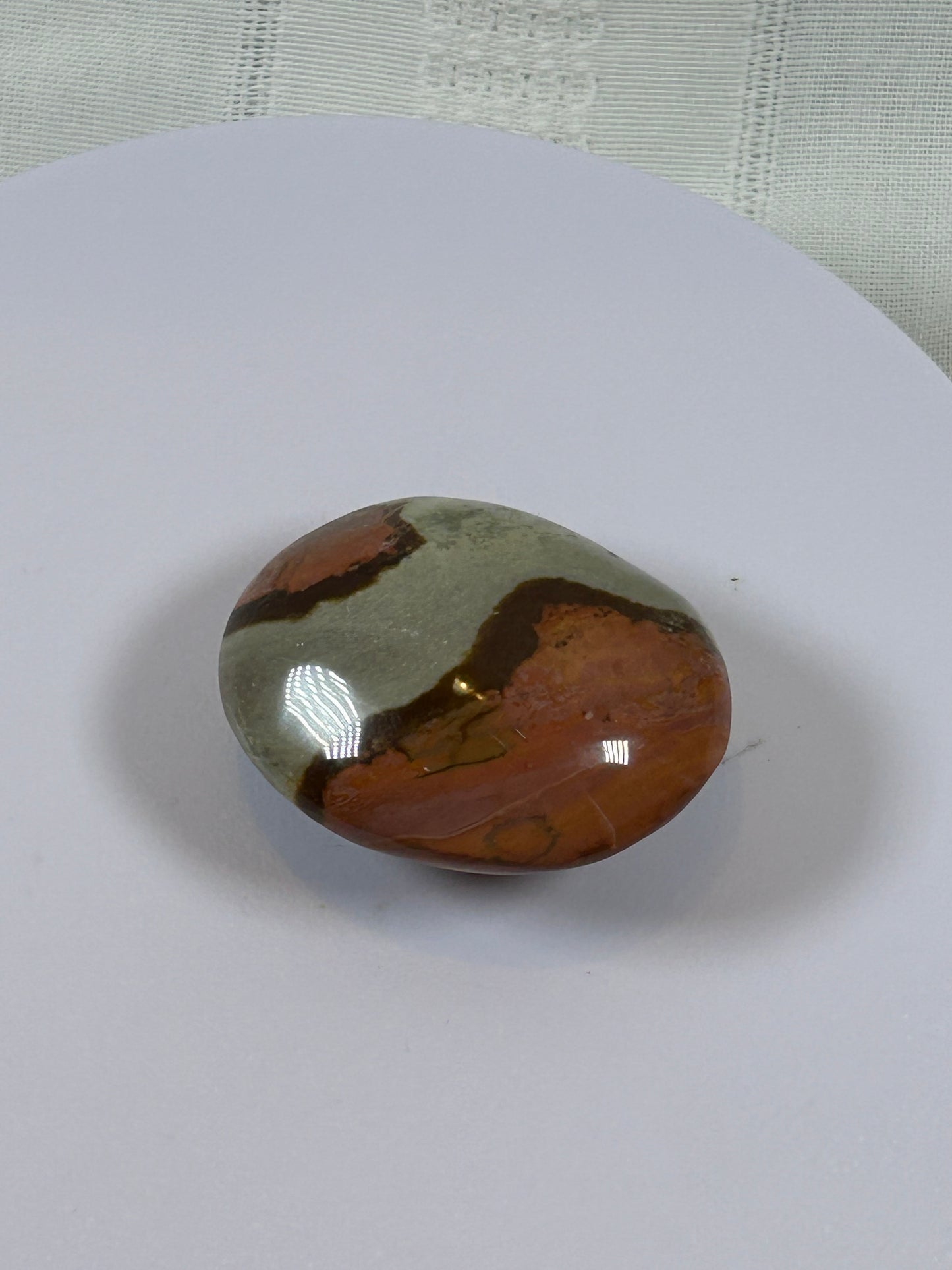 (#91) - POLYCHROME JASPER PALM STONE POLISHED - NEW