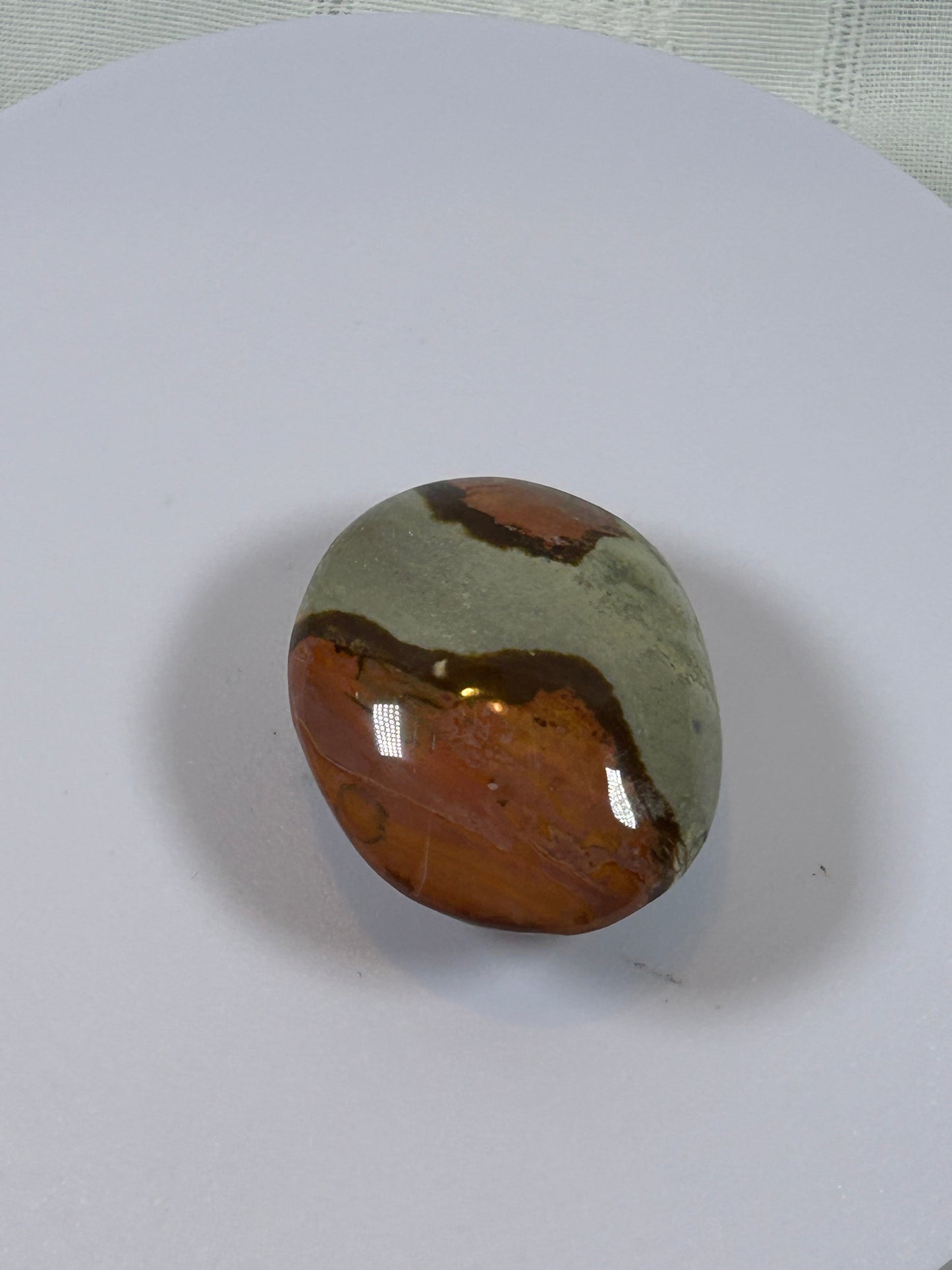 (#91) - POLYCHROME JASPER PALM STONE POLISHED - NEW