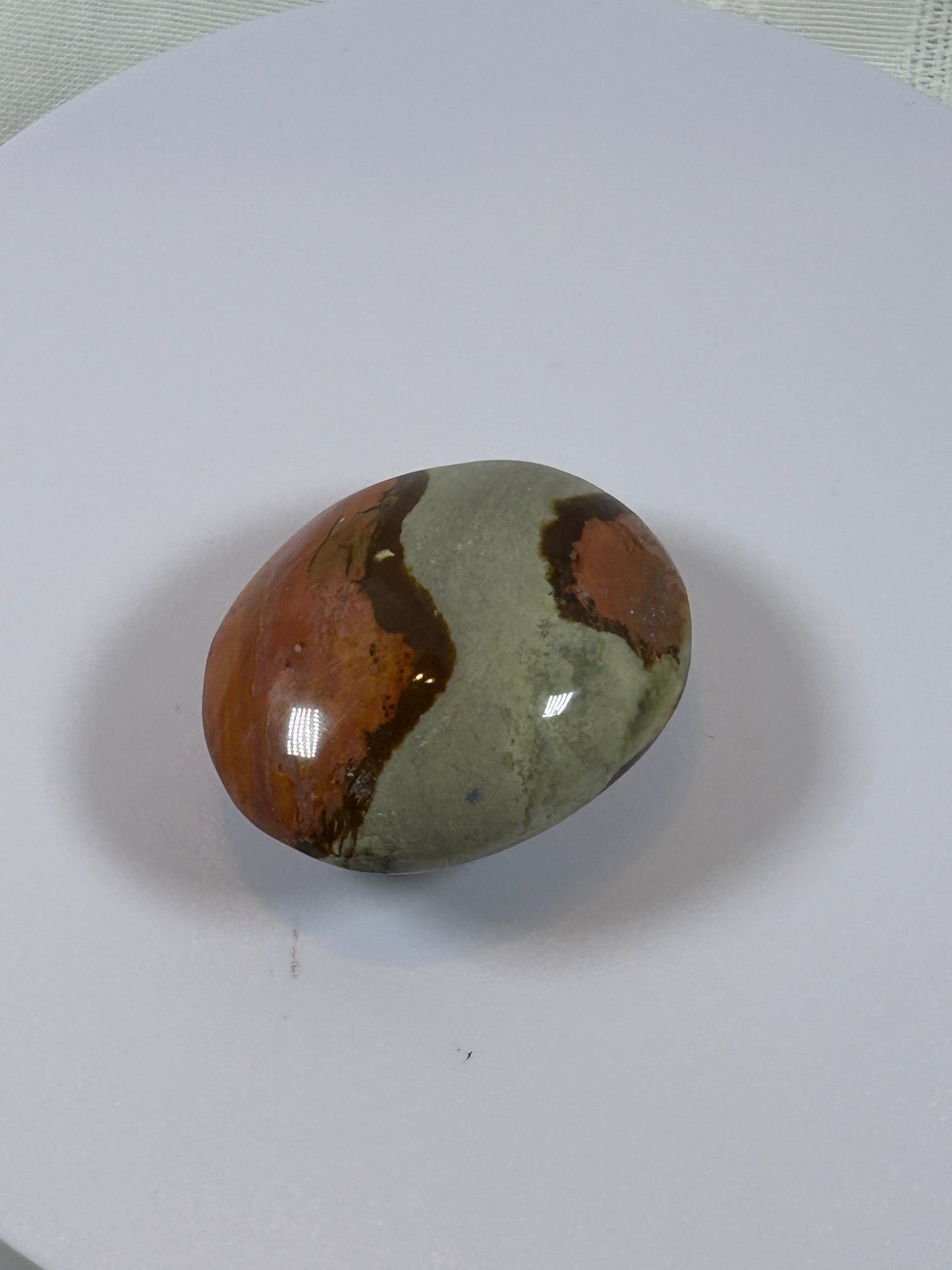 (#91) - POLYCHROME JASPER PALM STONE POLISHED - NEW