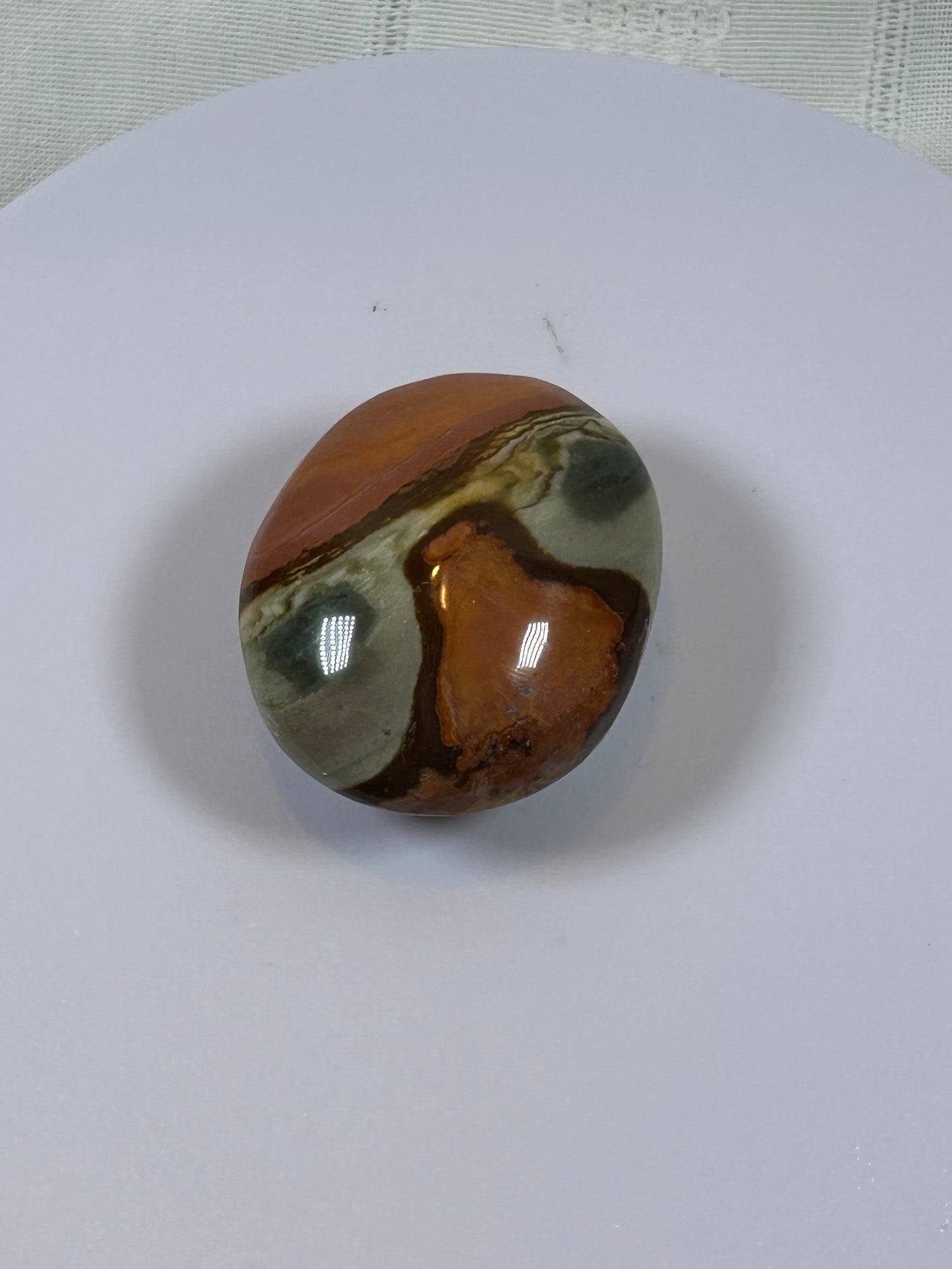 (#91) - POLYCHROME JASPER PALM STONE POLISHED - NEW