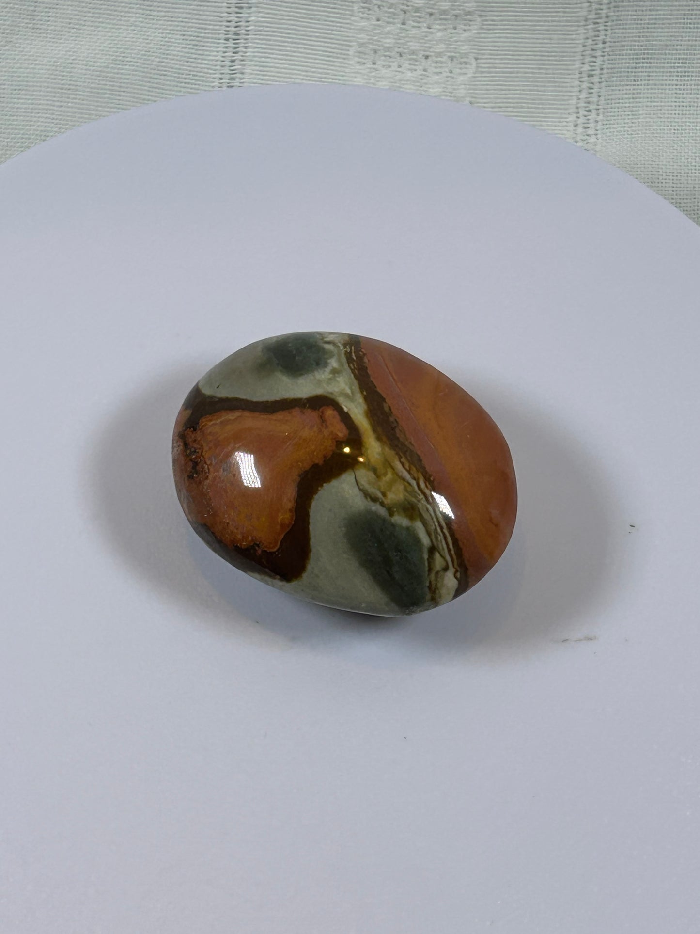 (#91) - POLYCHROME JASPER PALM STONE POLISHED - NEW