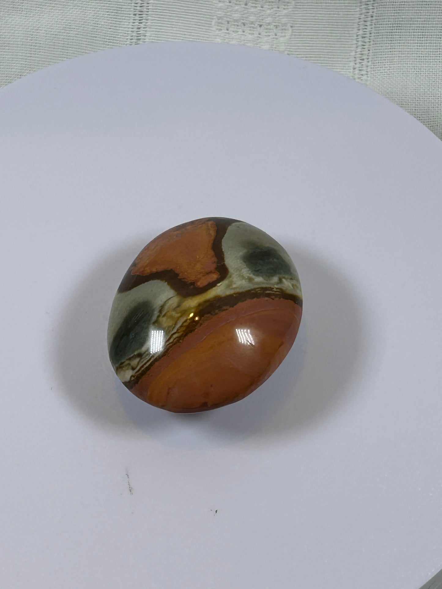(#91) - POLYCHROME JASPER PALM STONE POLISHED - NEW