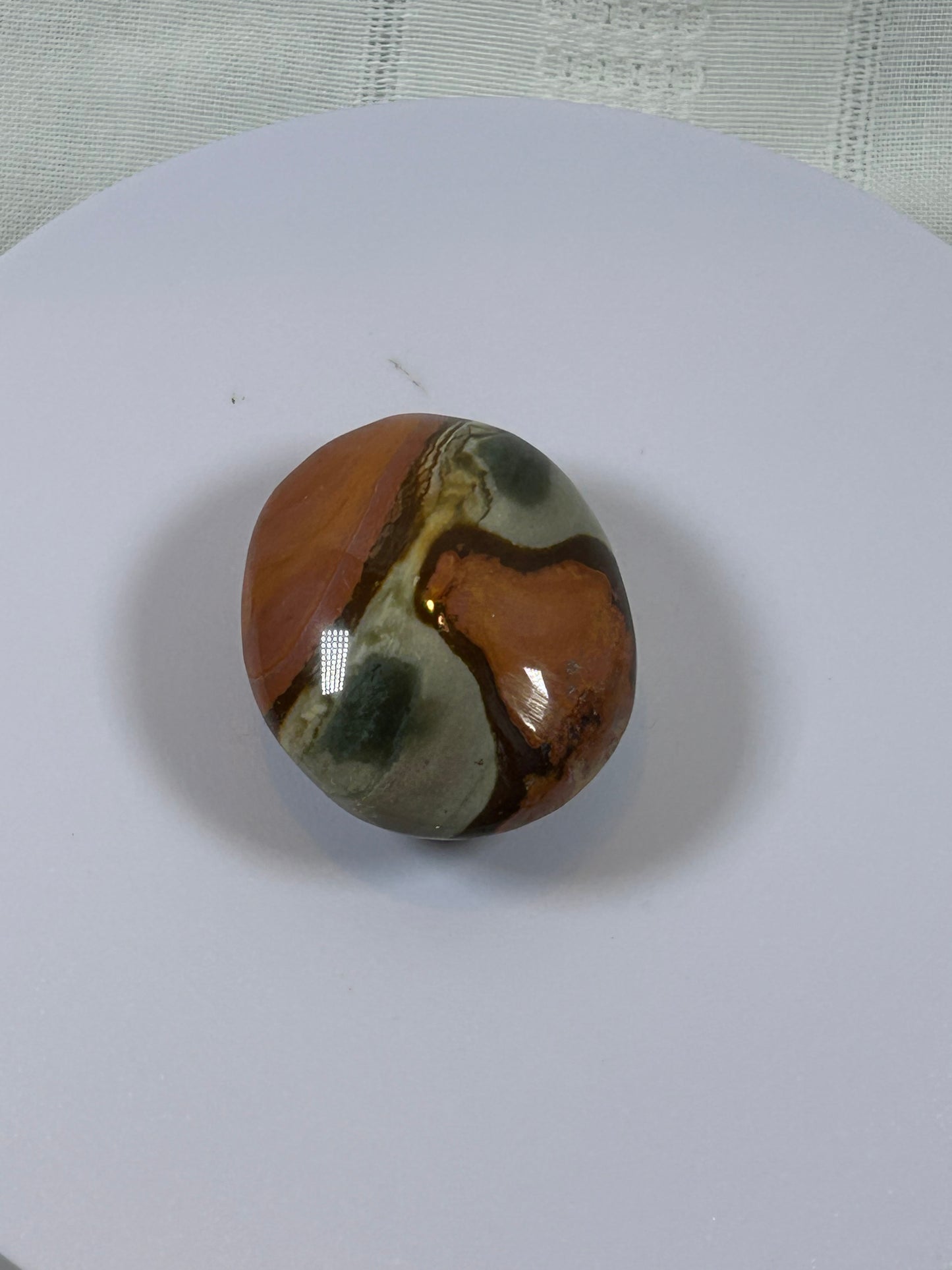 (#91) - POLYCHROME JASPER PALM STONE POLISHED - NEW