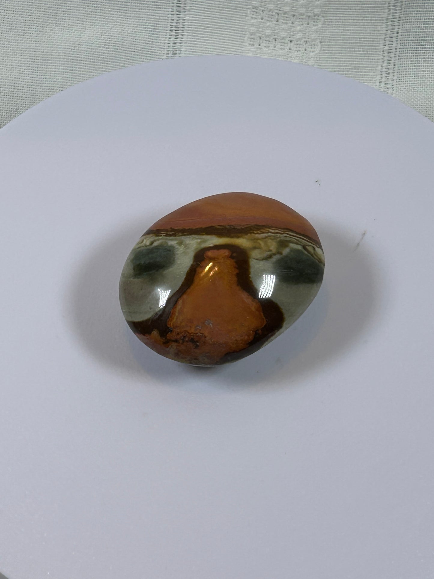 (#91) - POLYCHROME JASPER PALM STONE POLISHED - NEW