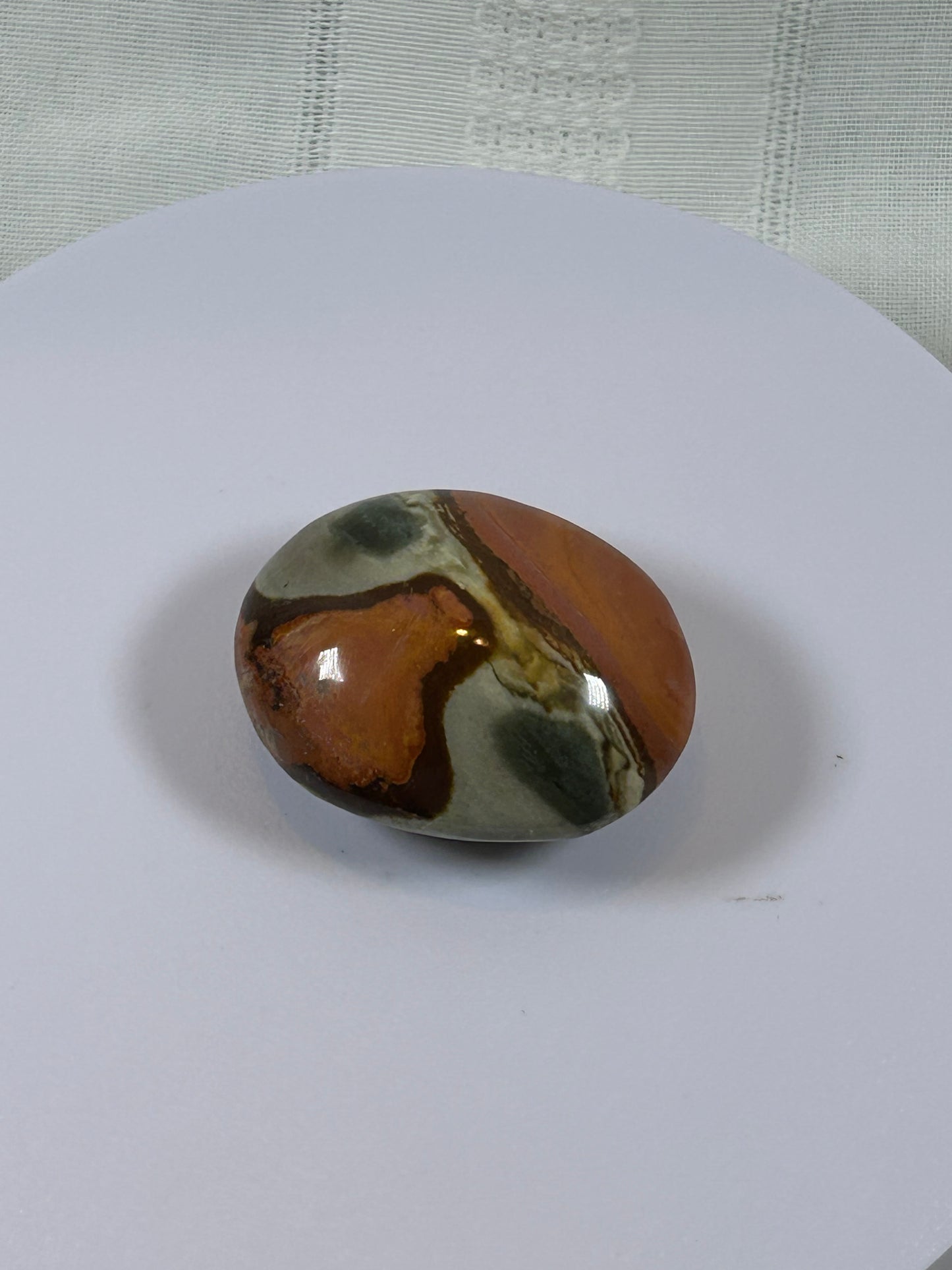 (#91) - POLYCHROME JASPER PALM STONE POLISHED - NEW