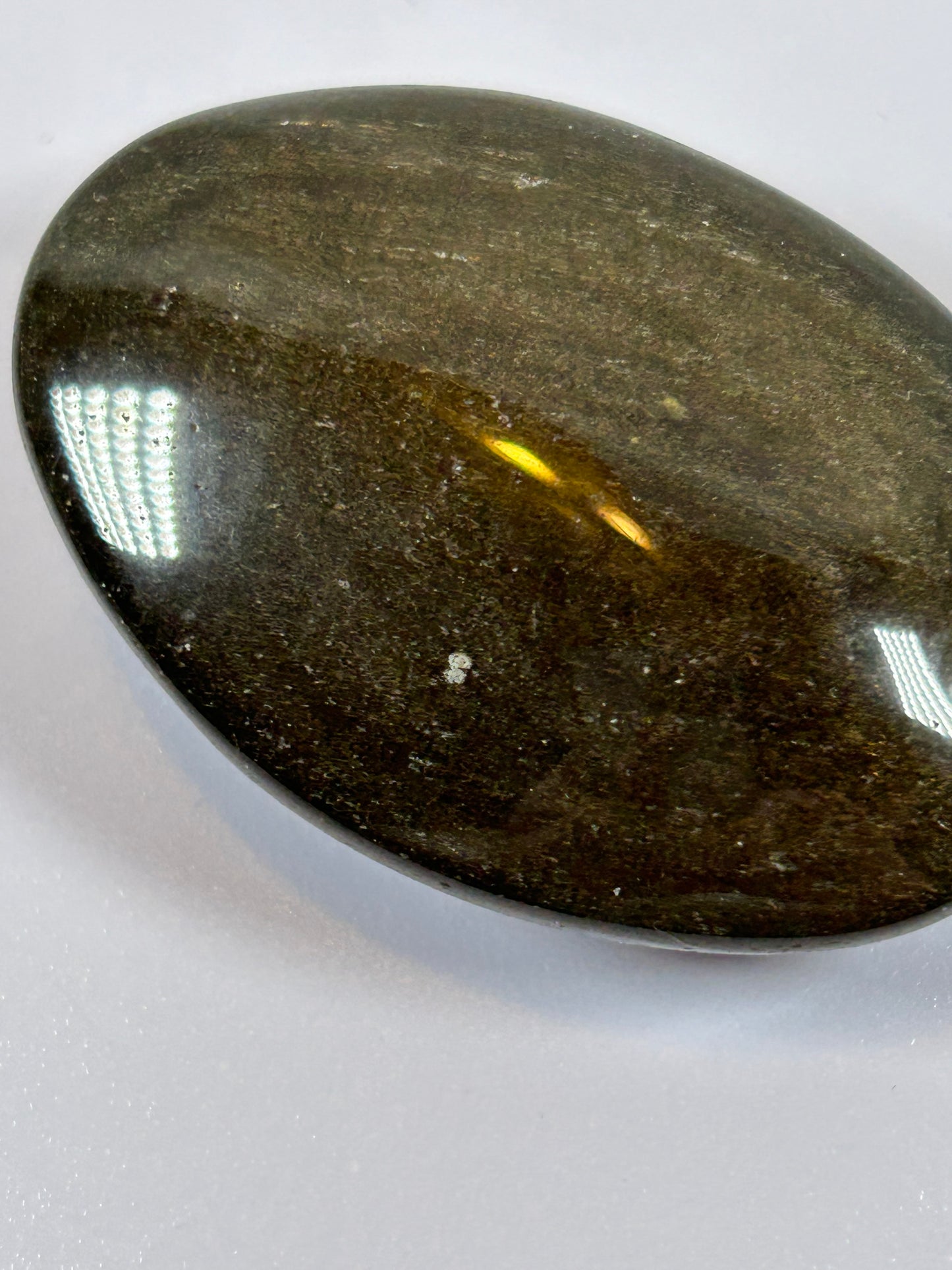 (#94) - GOLDEN OBSIDIAN PALM STONE POLISHED - NEW
