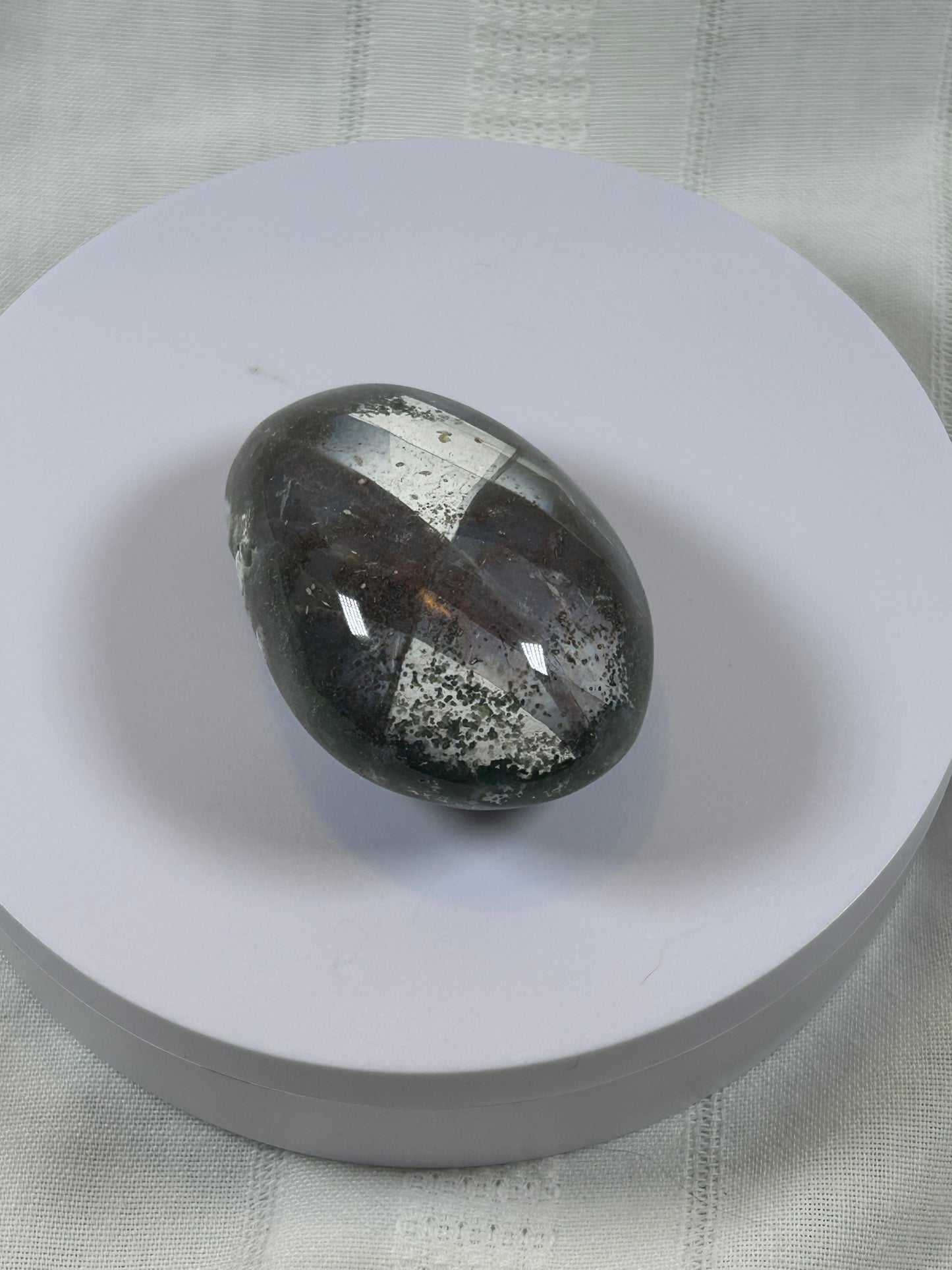 (#97) - OCEAN JASPER PALM STONE POLISHED - NEW