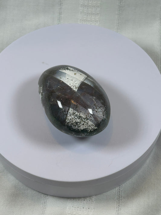 (#97) - OCEAN JASPER PALM STONE POLISHED - NEW