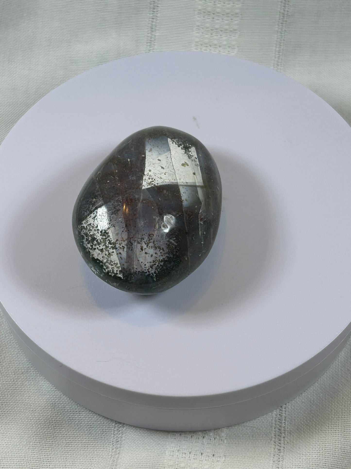 (#97) - OCEAN JASPER PALM STONE POLISHED - NEW