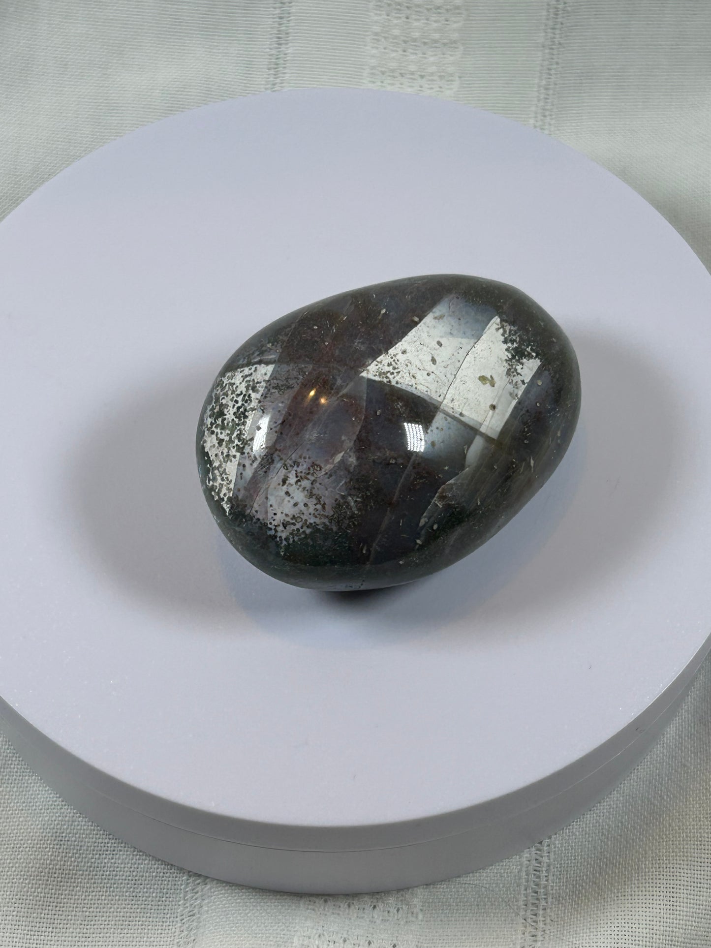 (#97) - OCEAN JASPER PALM STONE POLISHED - NEW