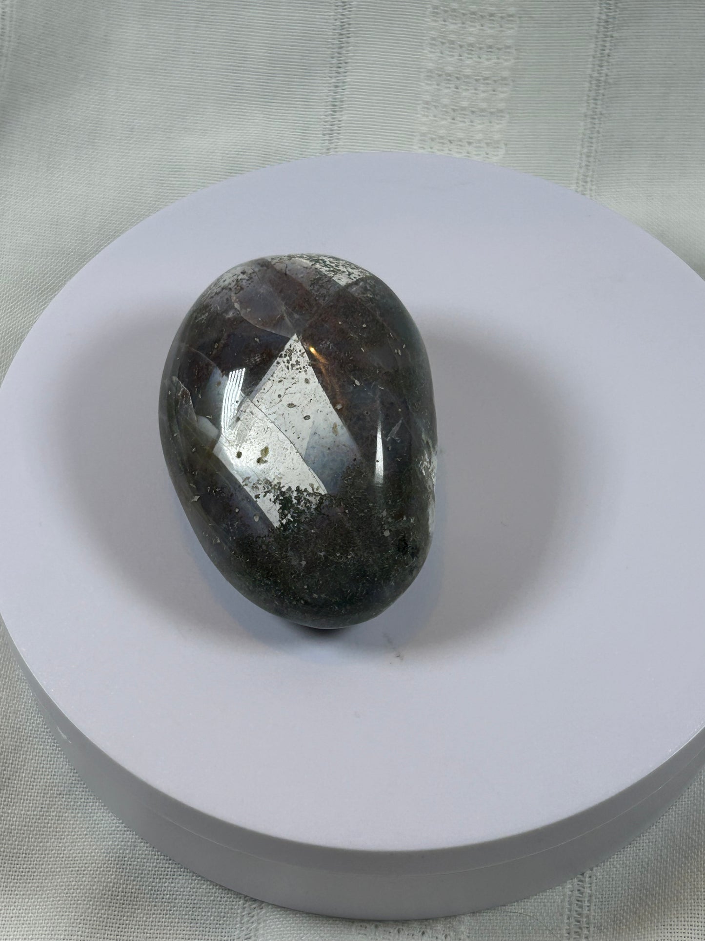 (#97) - OCEAN JASPER PALM STONE POLISHED - NEW