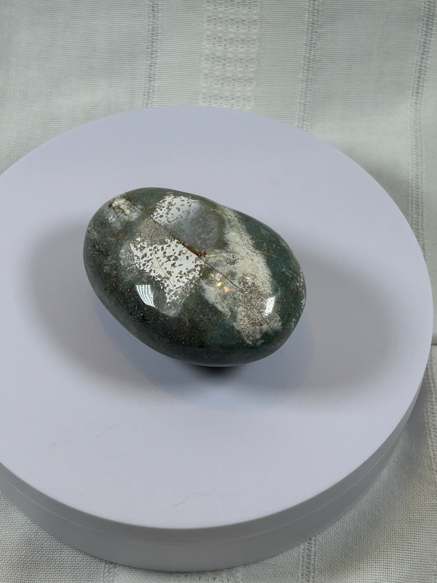 (#97) - OCEAN JASPER PALM STONE POLISHED - NEW