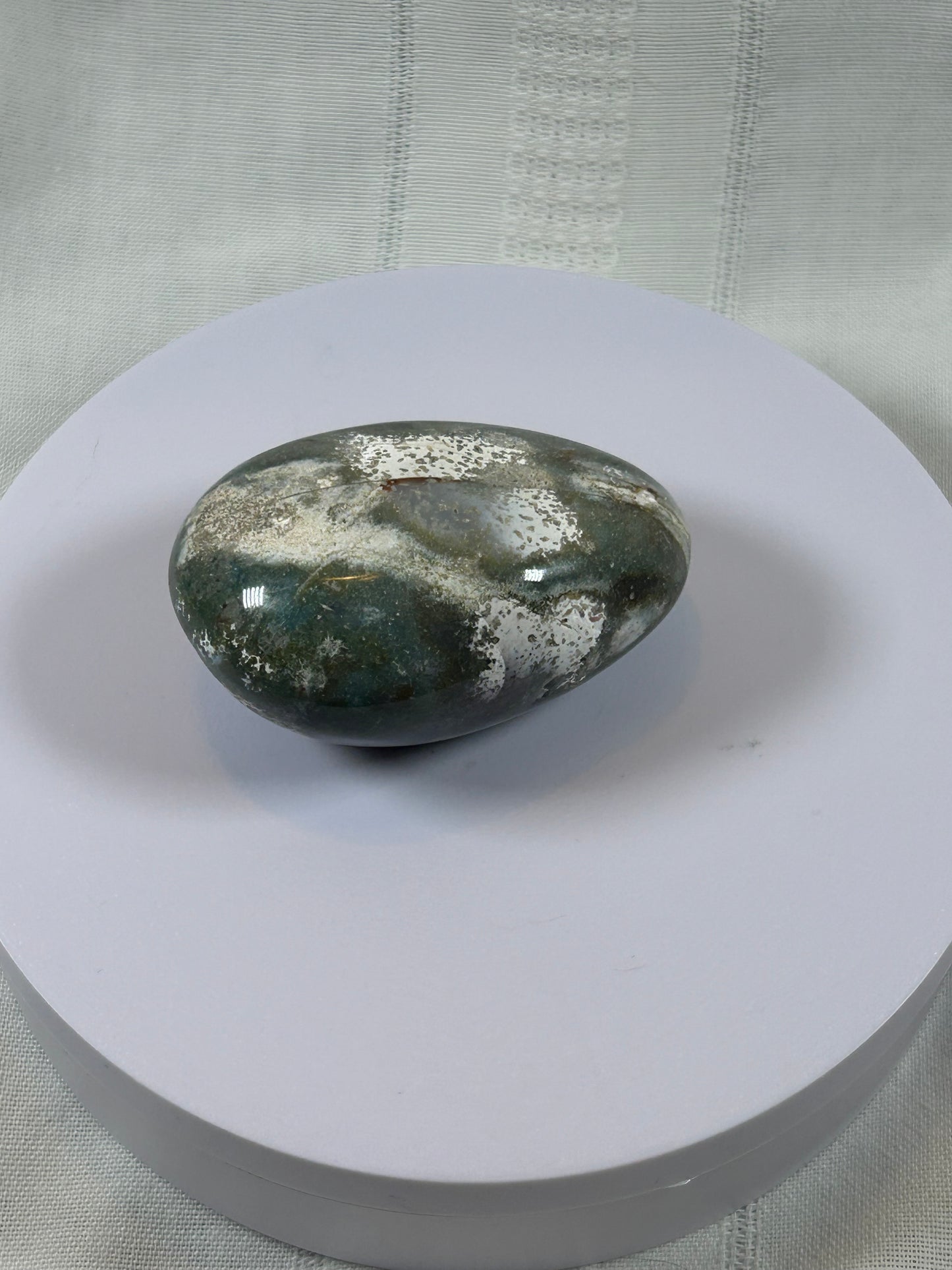 (#97) - OCEAN JASPER PALM STONE POLISHED - NEW
