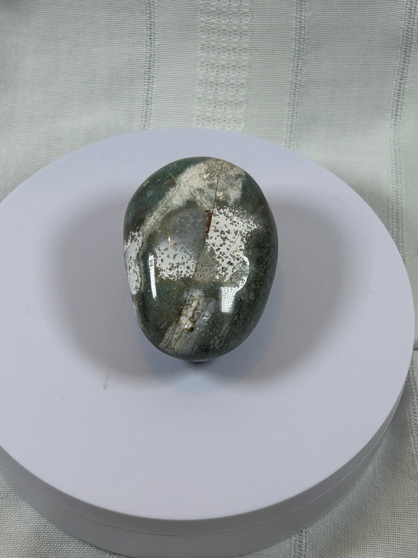 (#97) - OCEAN JASPER PALM STONE POLISHED - NEW