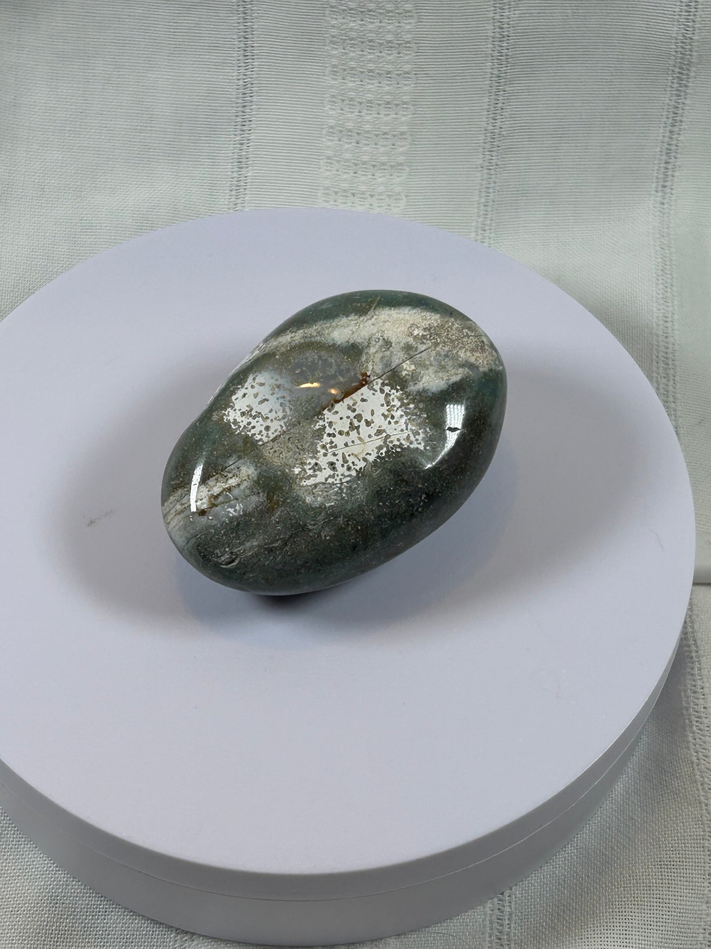 (#97) - OCEAN JASPER PALM STONE POLISHED - NEW
