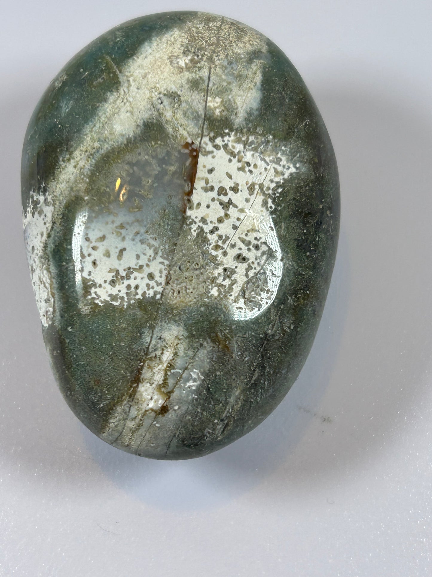 (#97) - OCEAN JASPER PALM STONE POLISHED - NEW
