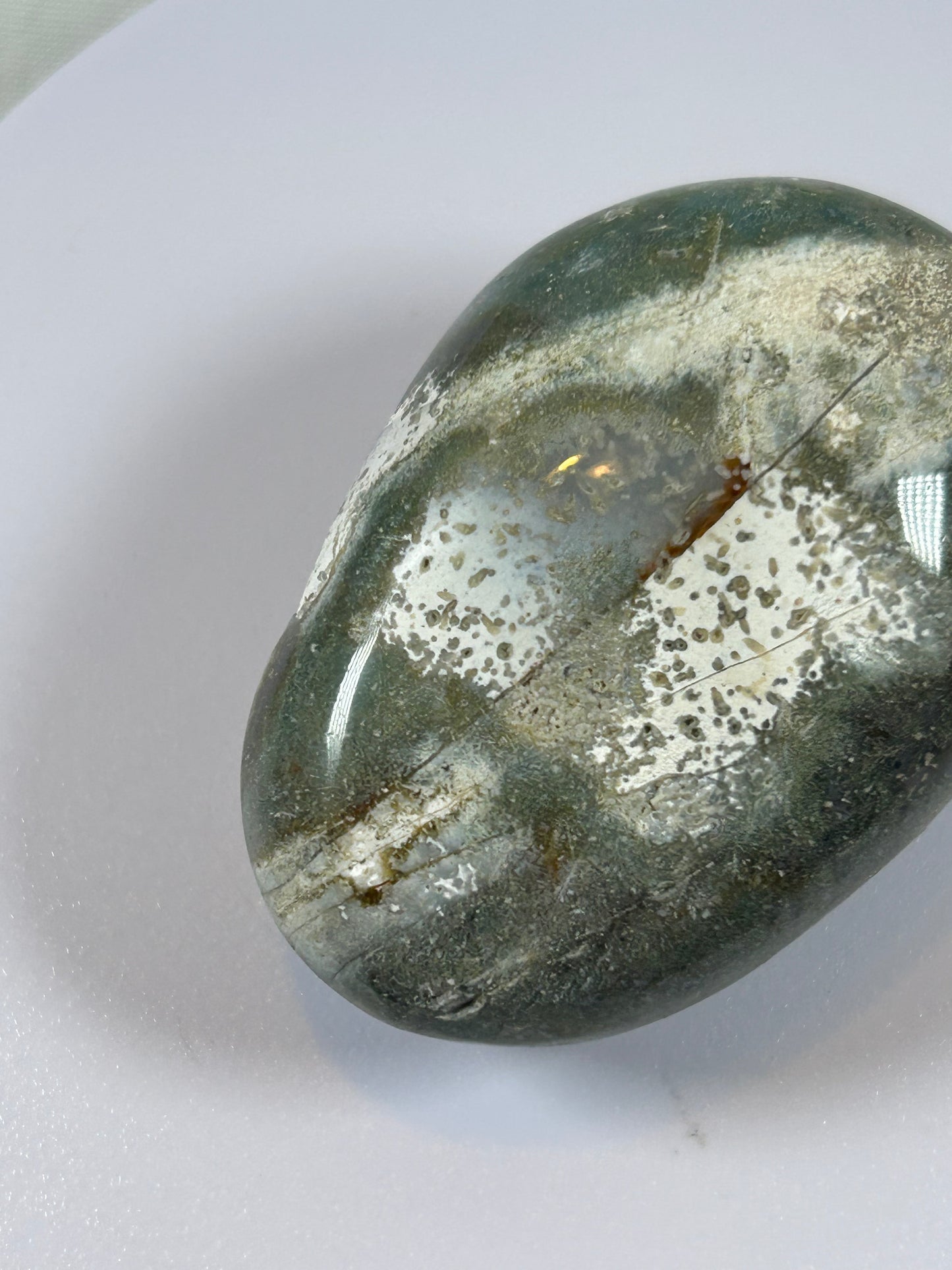 (#97) - OCEAN JASPER PALM STONE POLISHED - NEW