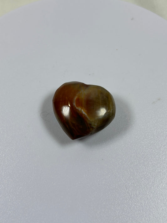 (#900) - Jasper Heart - New
