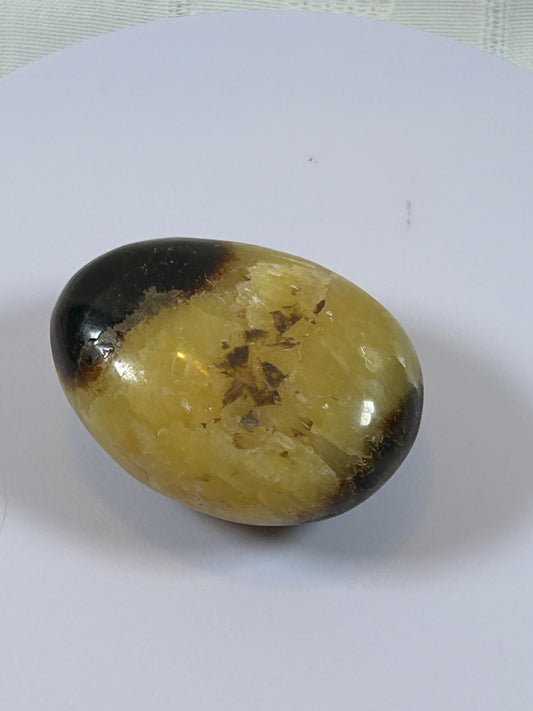 (#89) - SEPTARIAN PALM STONE POLISHED - NEW