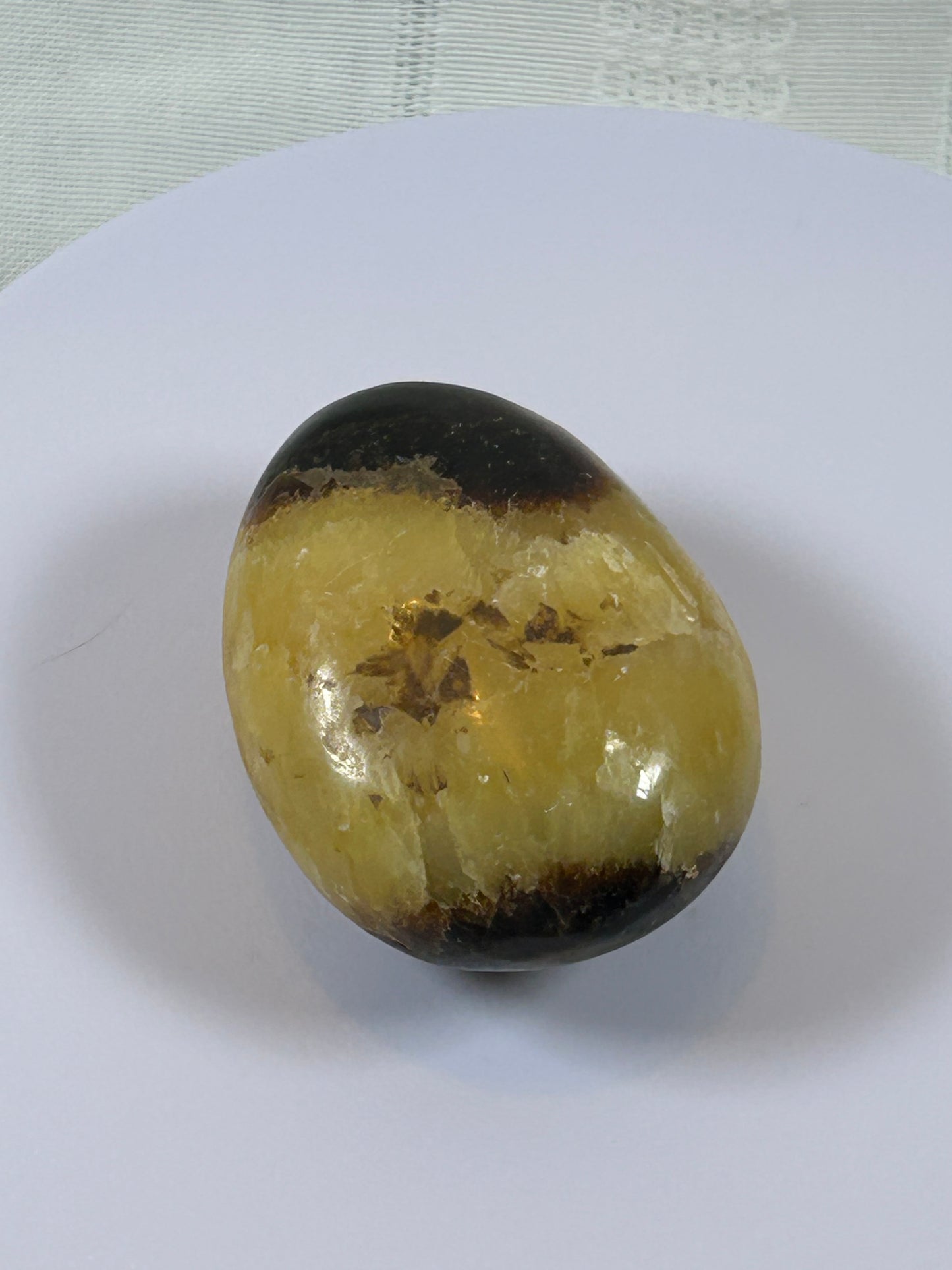 (#89) - SEPTARIAN PALM STONE POLISHED - NEW