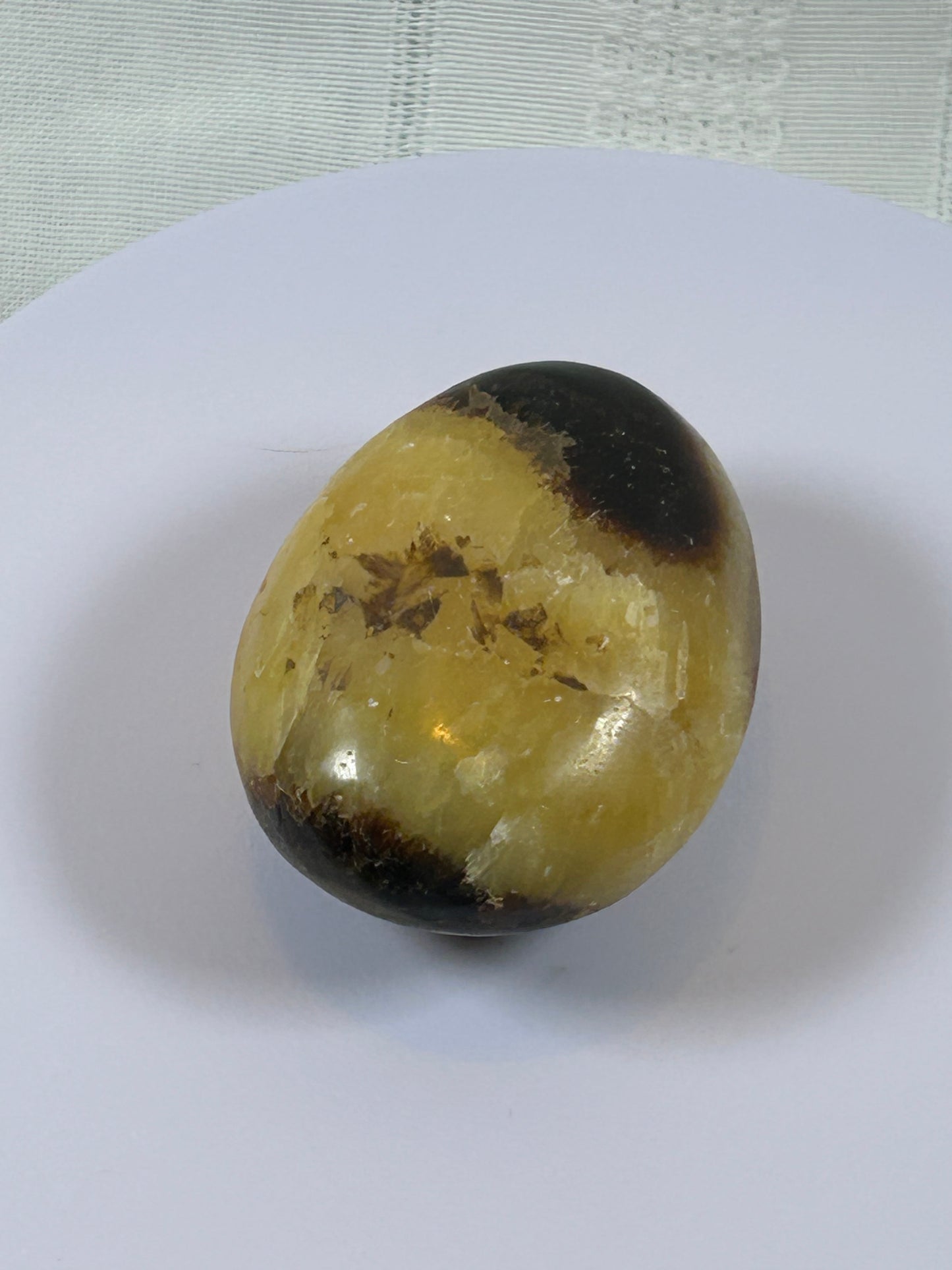 (#89) - SEPTARIAN PALM STONE POLISHED - NEW