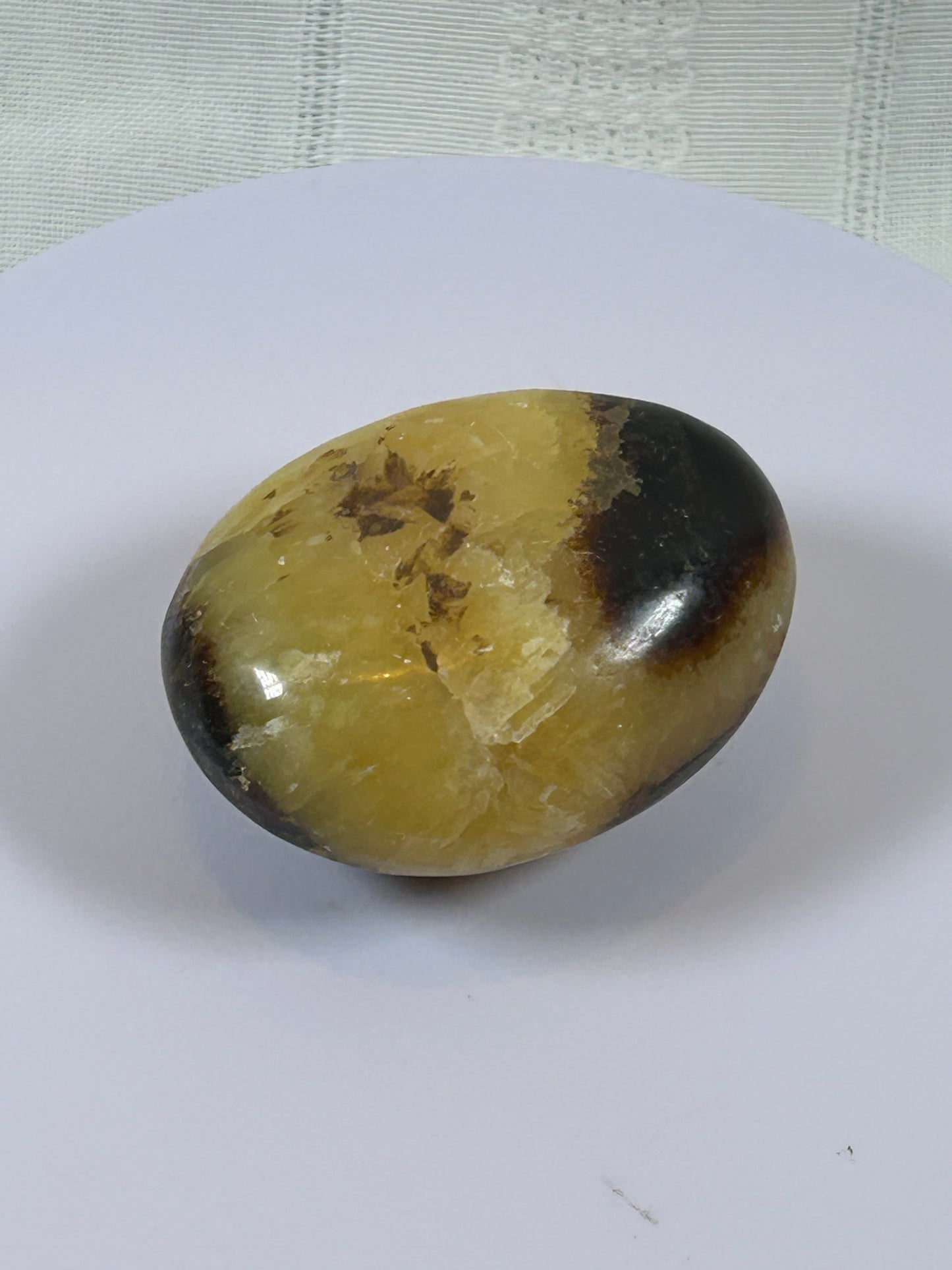 (#89) - SEPTARIAN PALM STONE POLISHED - NEW