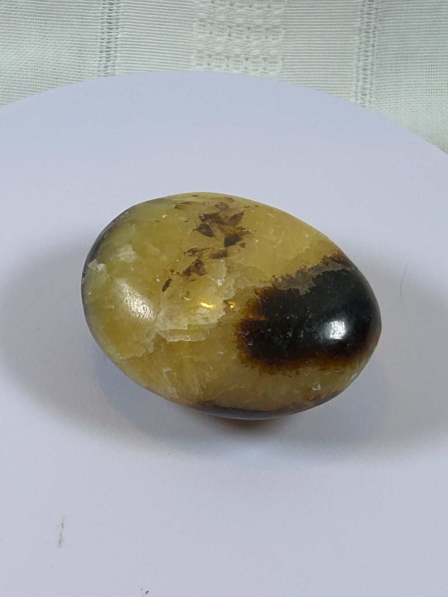(#89) - SEPTARIAN PALM STONE POLISHED - NEW