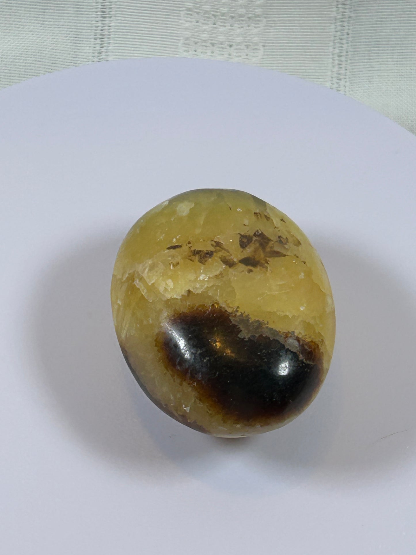 (#89) - SEPTARIAN PALM STONE POLISHED - NEW