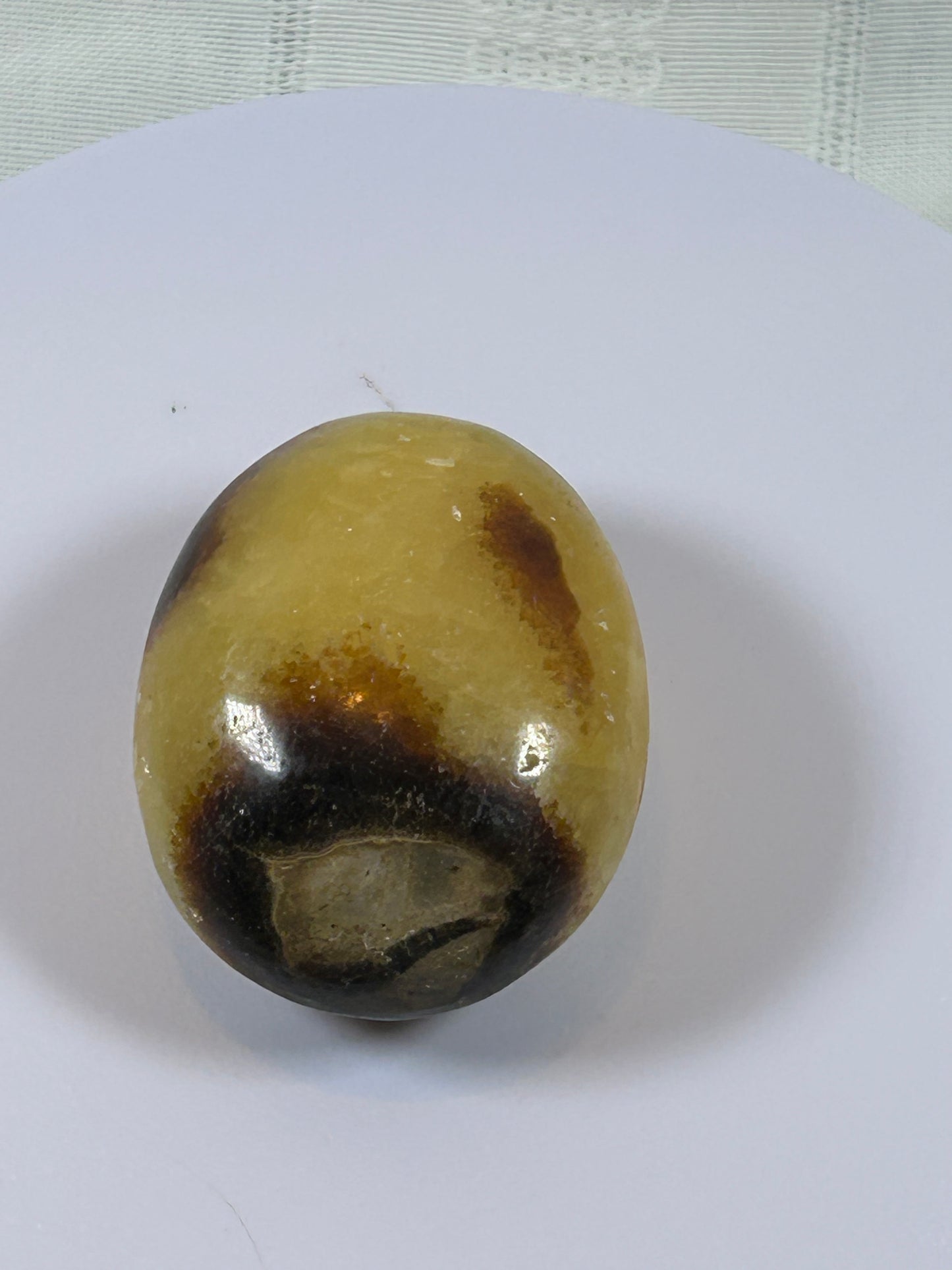 (#89) - SEPTARIAN PALM STONE POLISHED - NEW