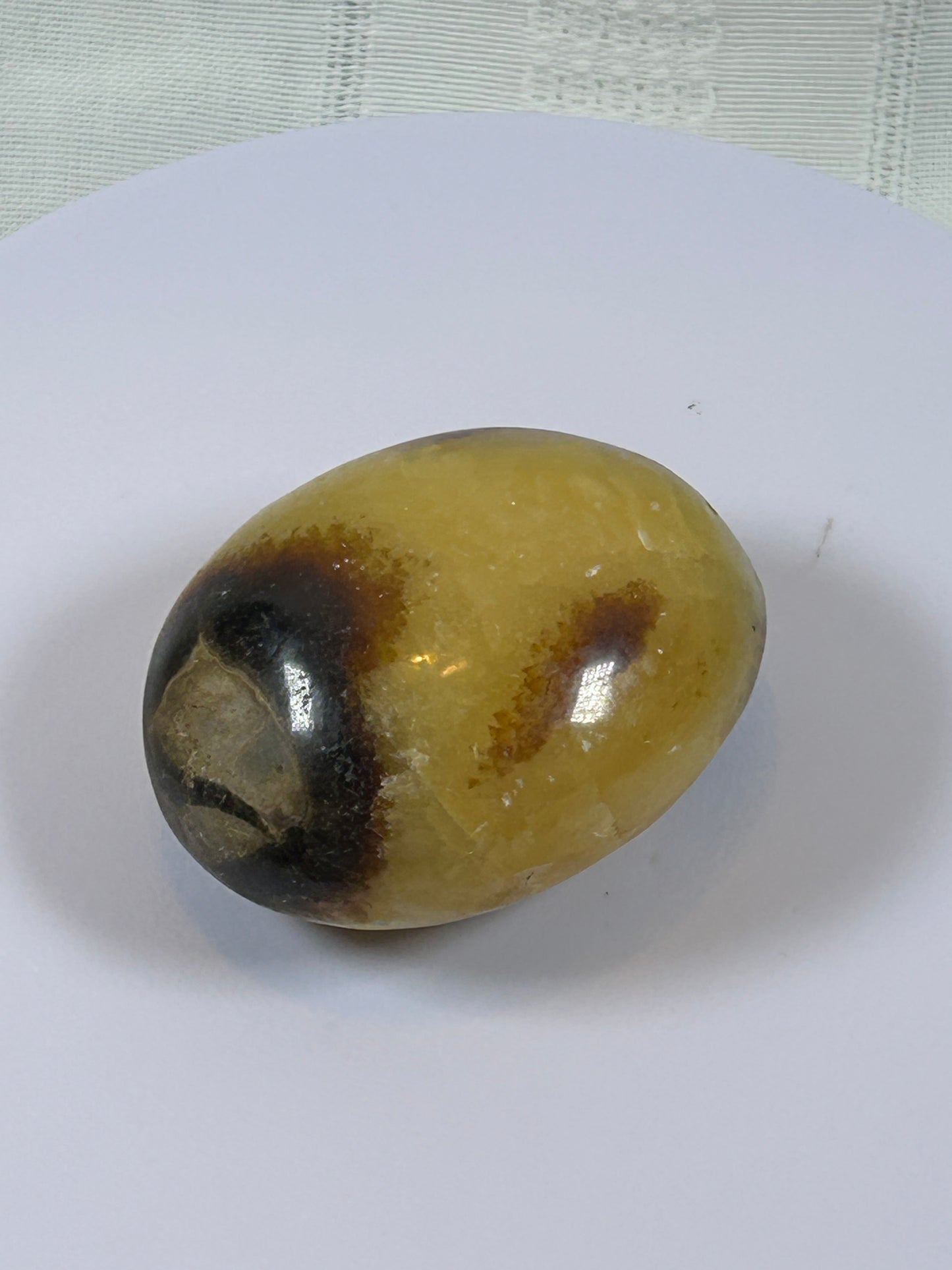 (#89) - SEPTARIAN PALM STONE POLISHED - NEW