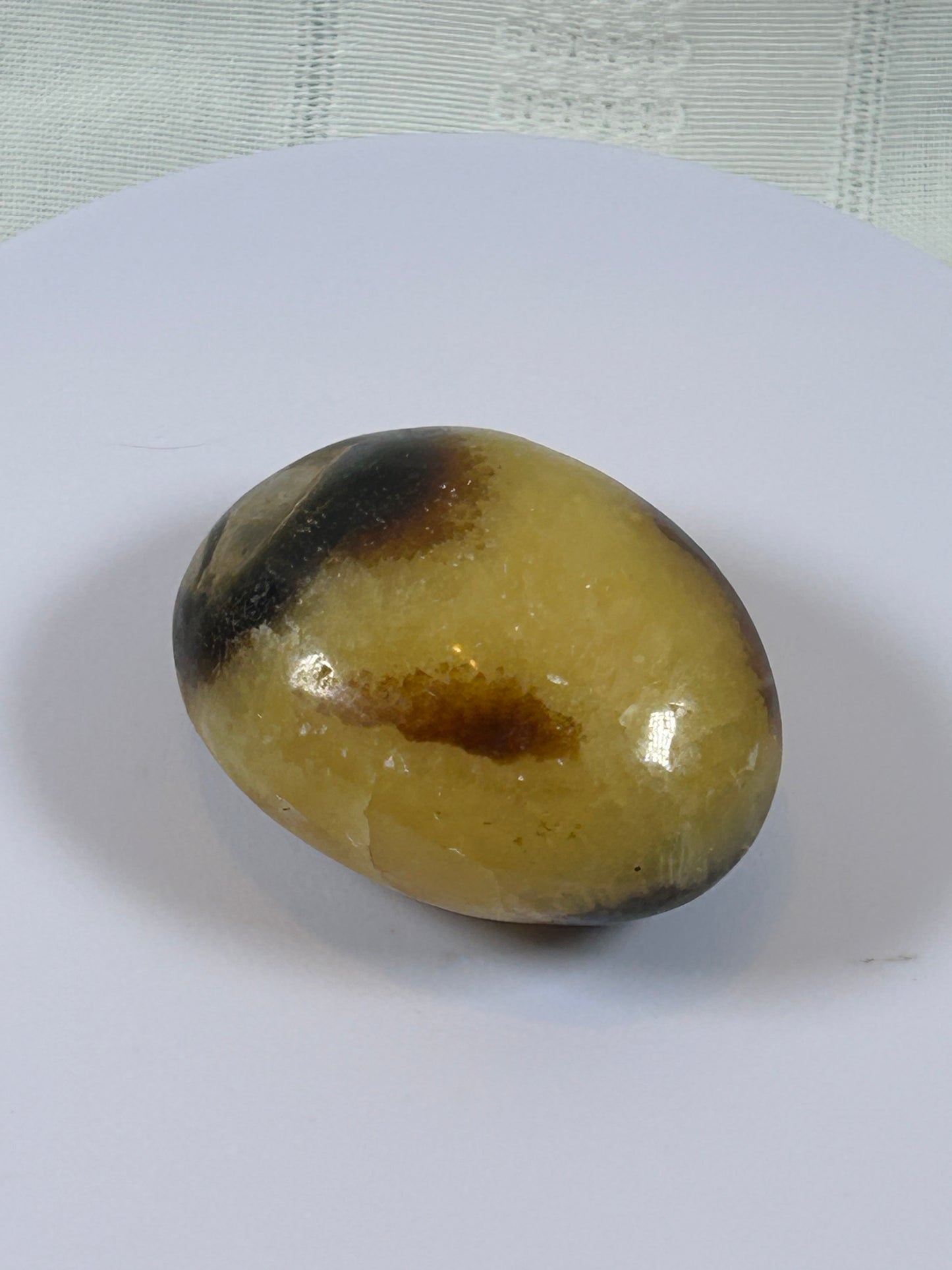 (#89) - SEPTARIAN PALM STONE POLISHED - NEW