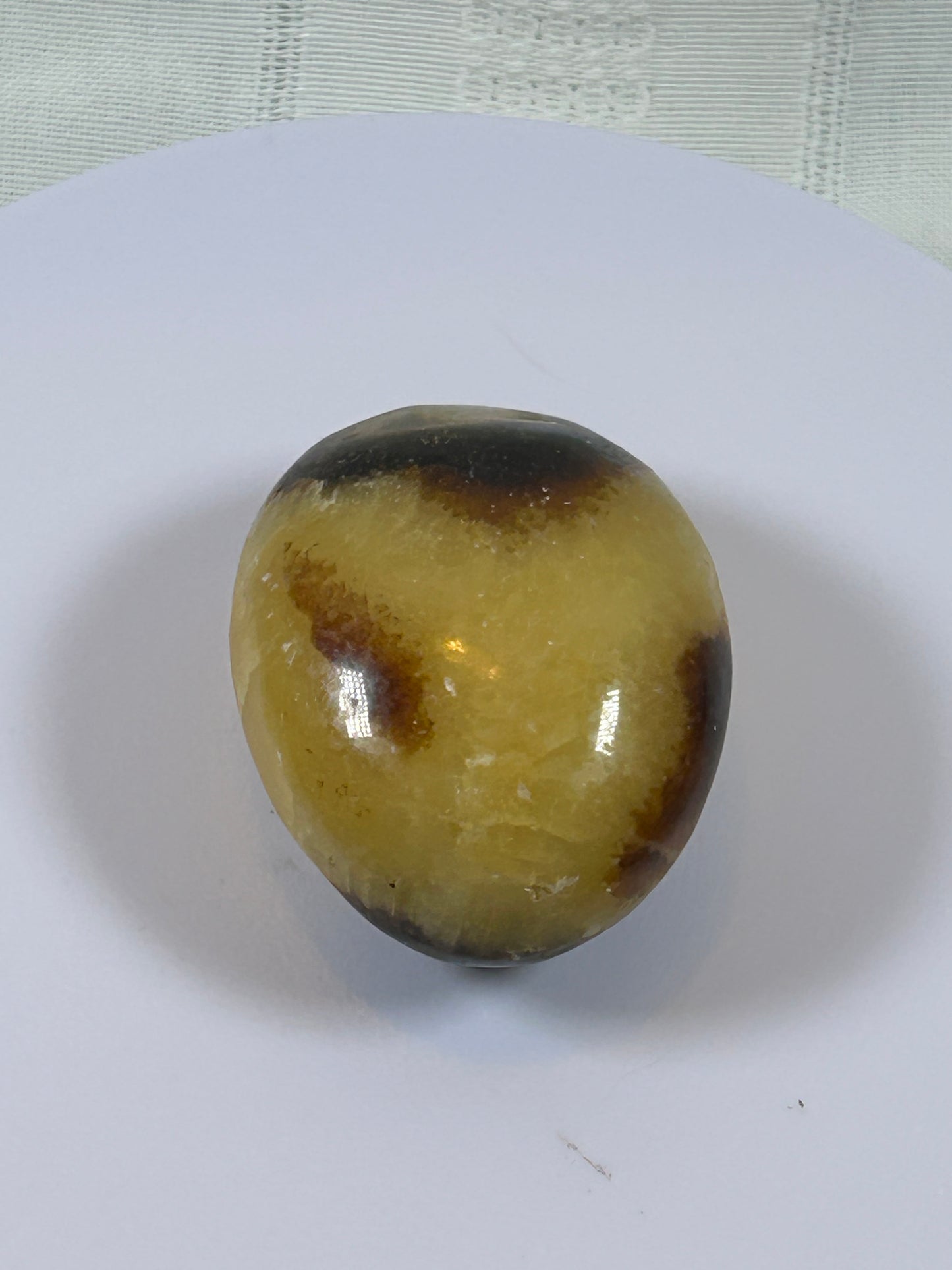 (#89) - SEPTARIAN PALM STONE POLISHED - NEW