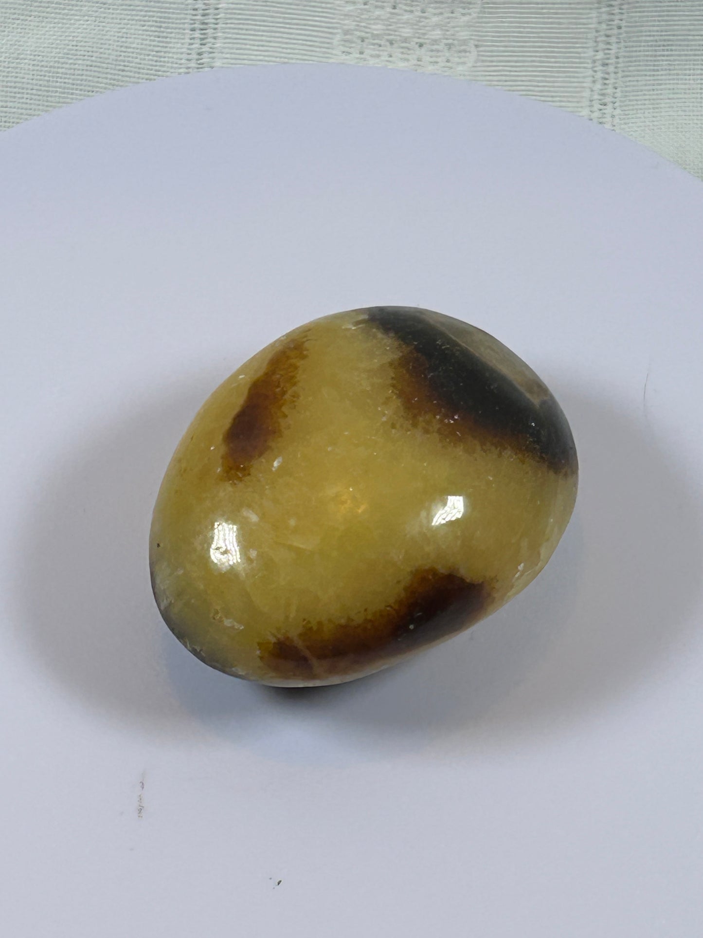 (#89) - SEPTARIAN PALM STONE POLISHED - NEW